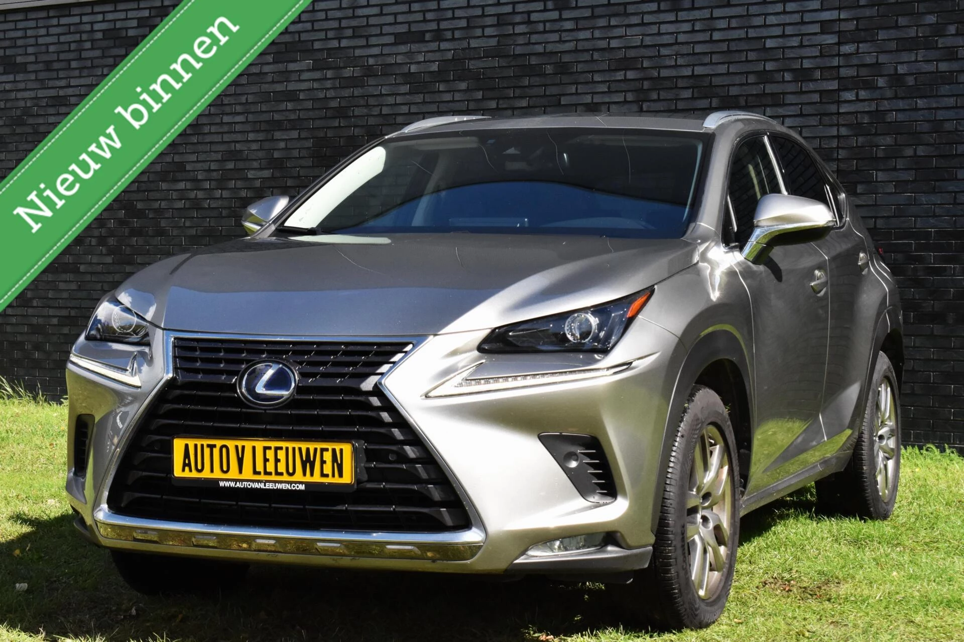 Hoofdafbeelding Lexus NX