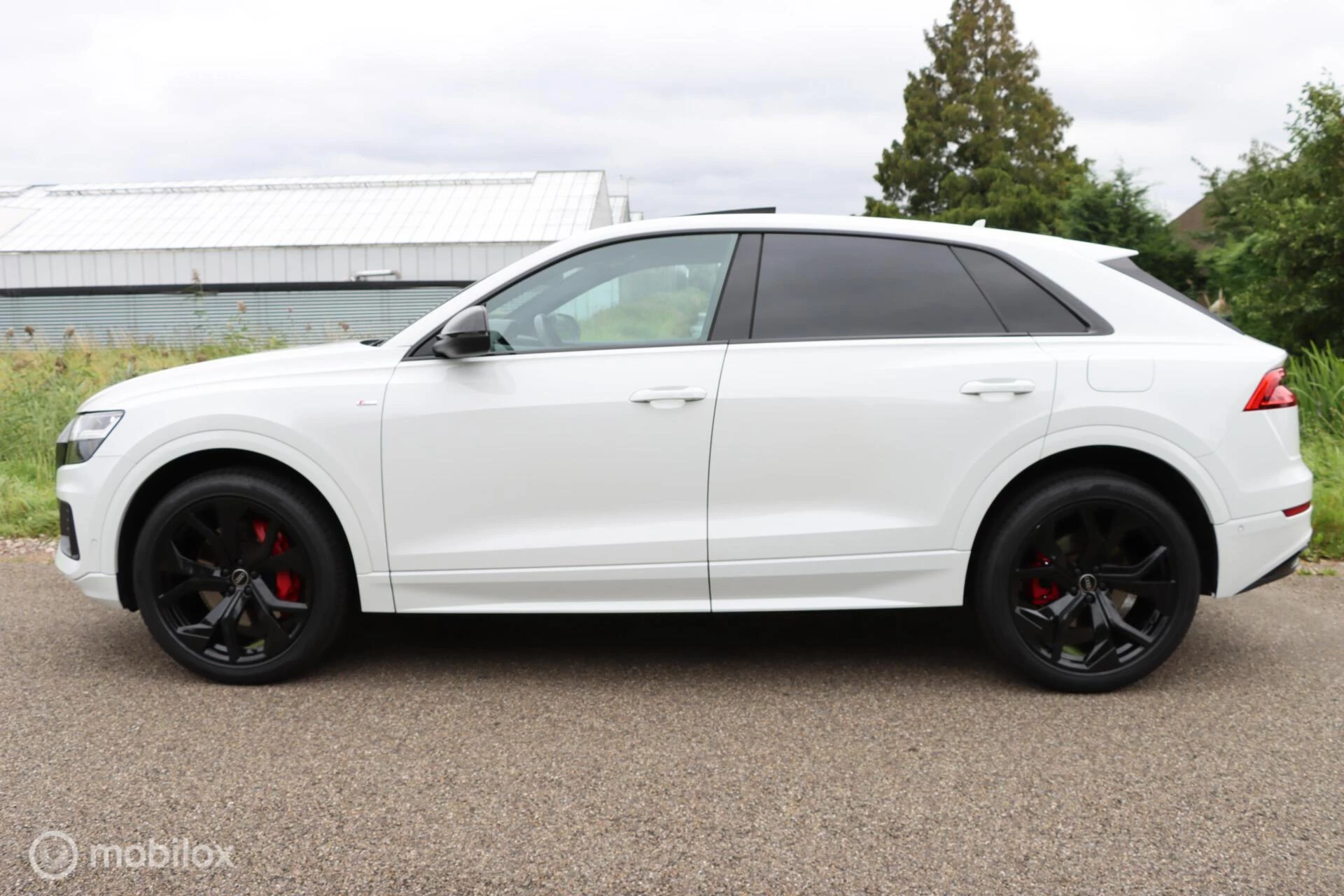 Hoofdafbeelding Audi Q8