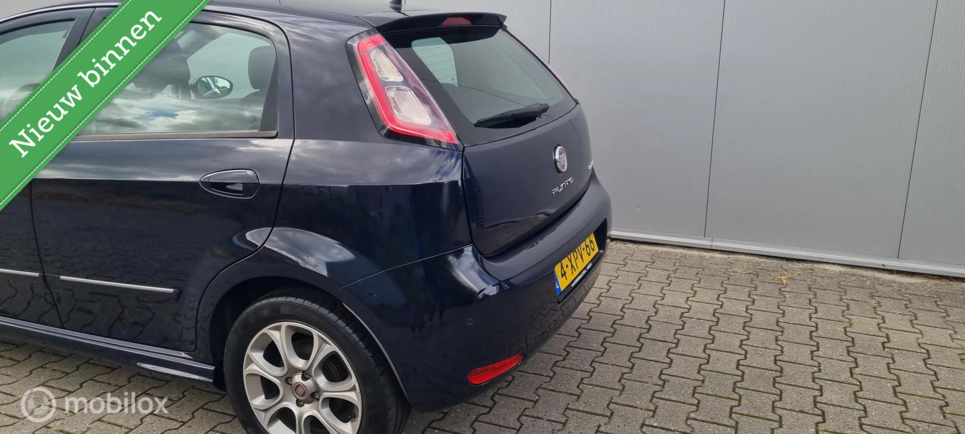 Hoofdafbeelding Fiat Punto
