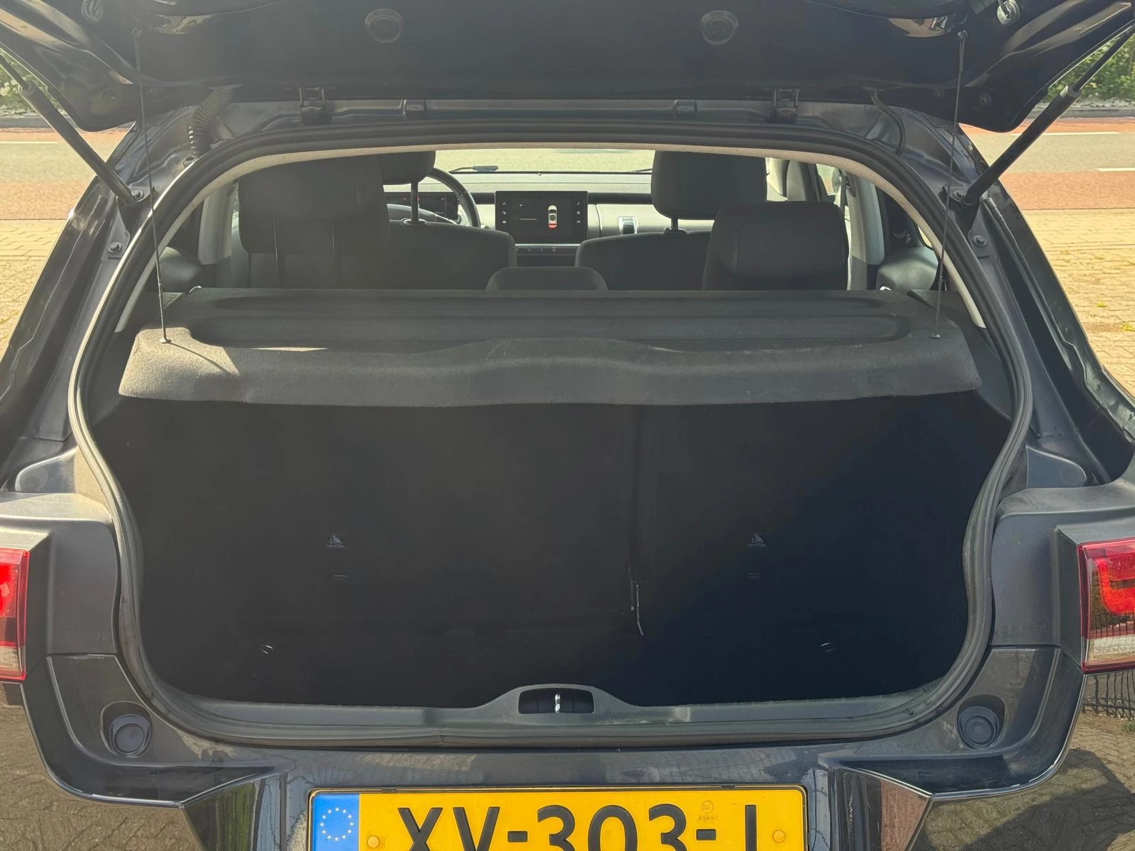 Hoofdafbeelding Citroën C4 Cactus