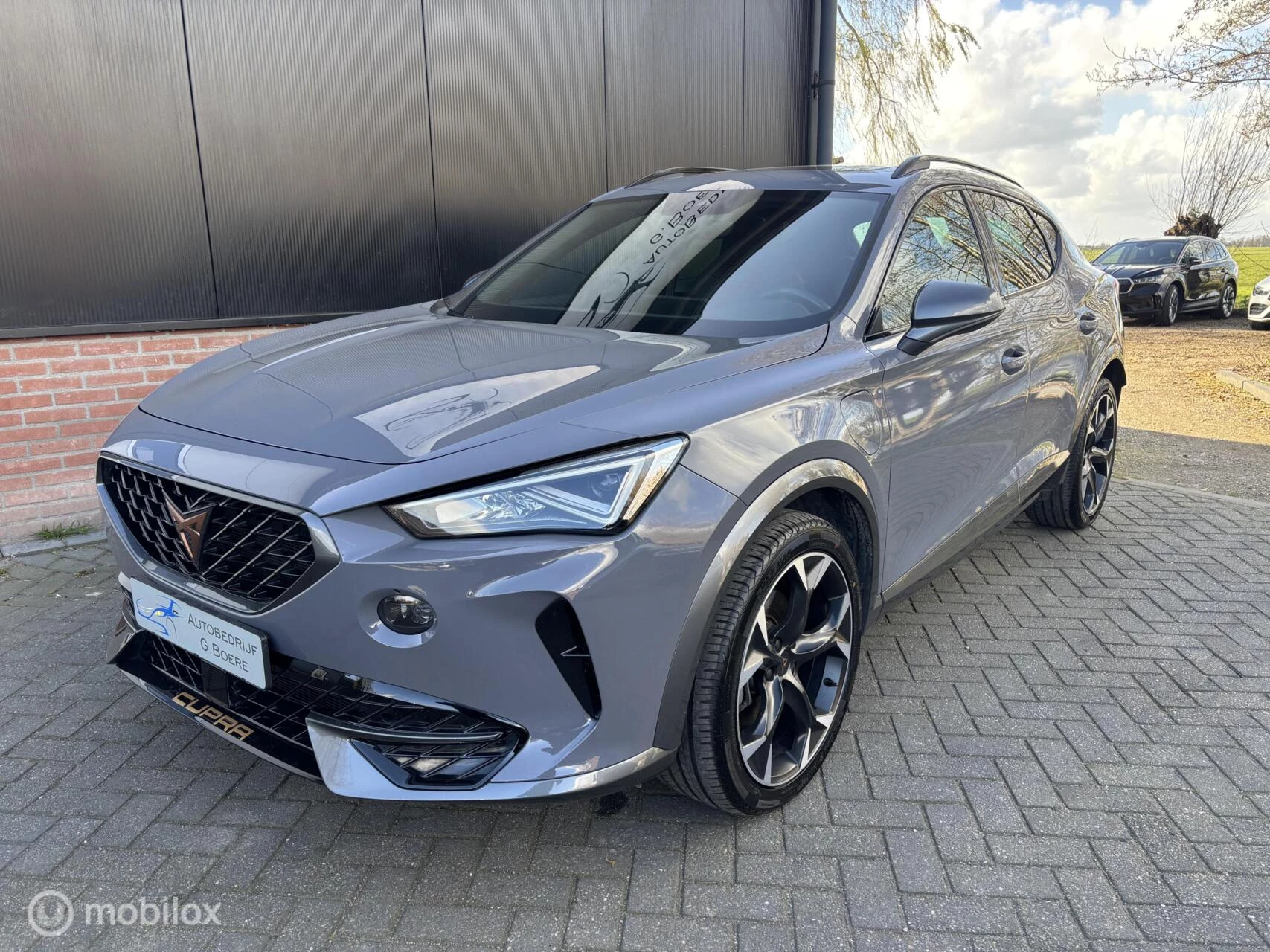 Hoofdafbeelding CUPRA Formentor