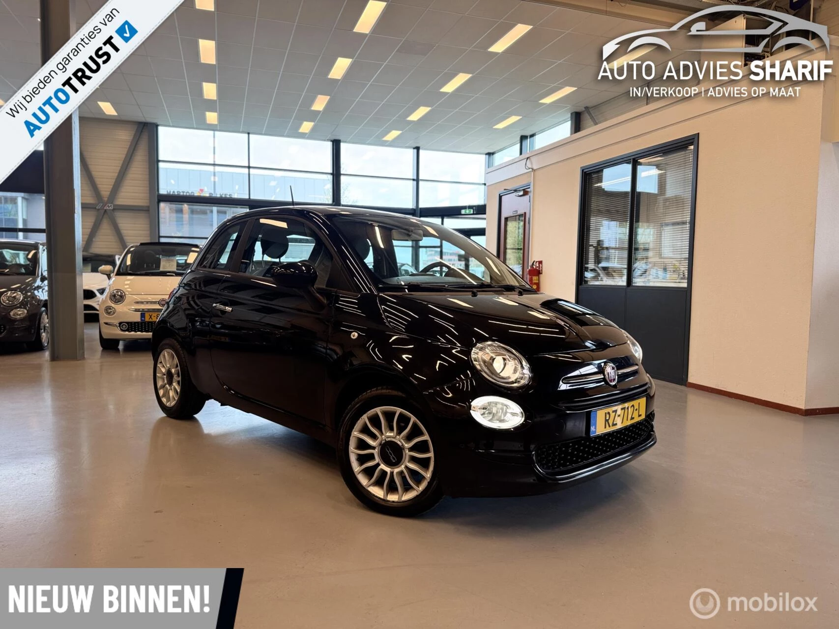 Hoofdafbeelding Fiat 500