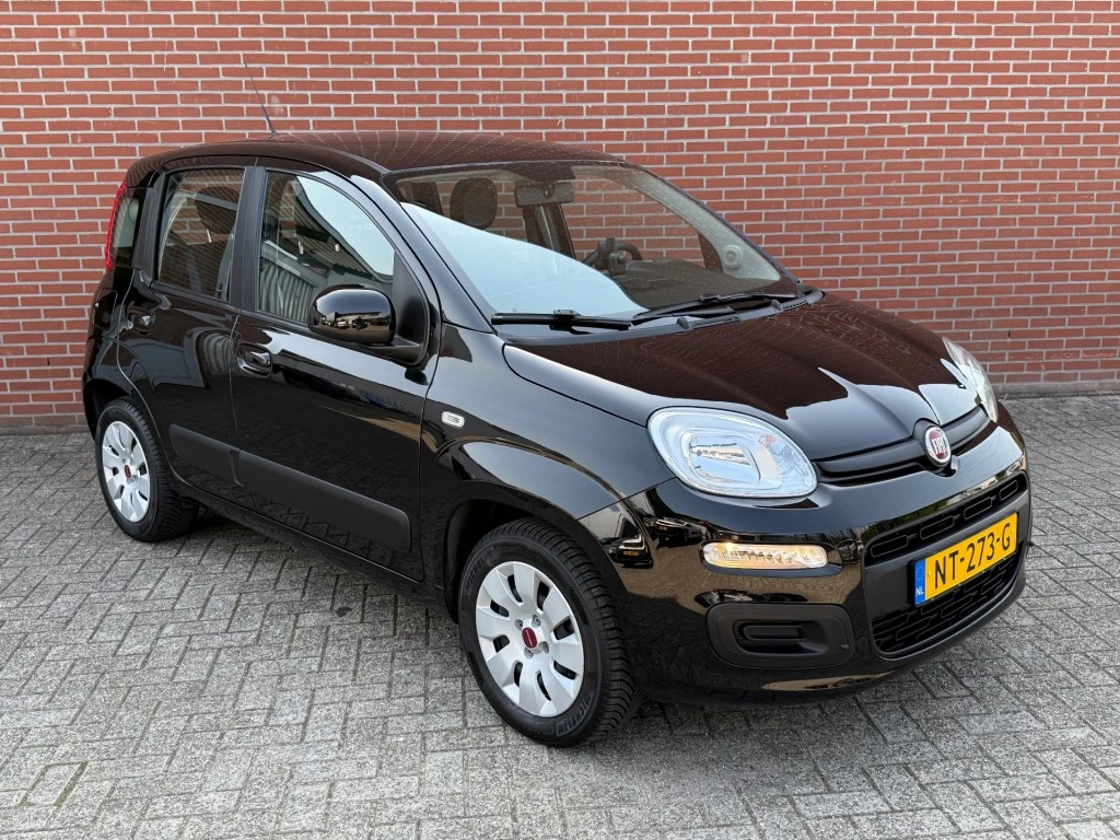 Hoofdafbeelding Fiat Panda