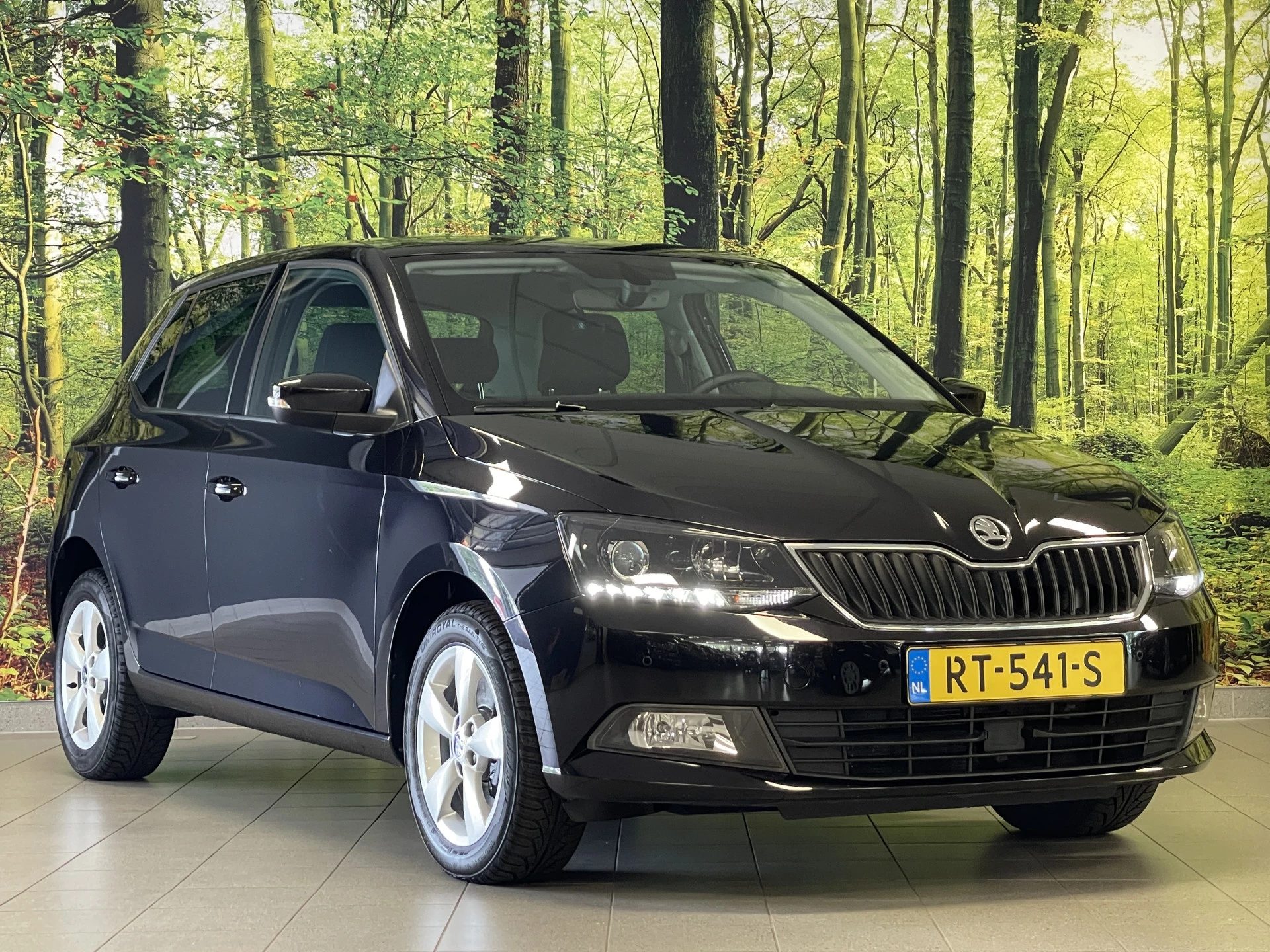 Hoofdafbeelding Škoda Fabia