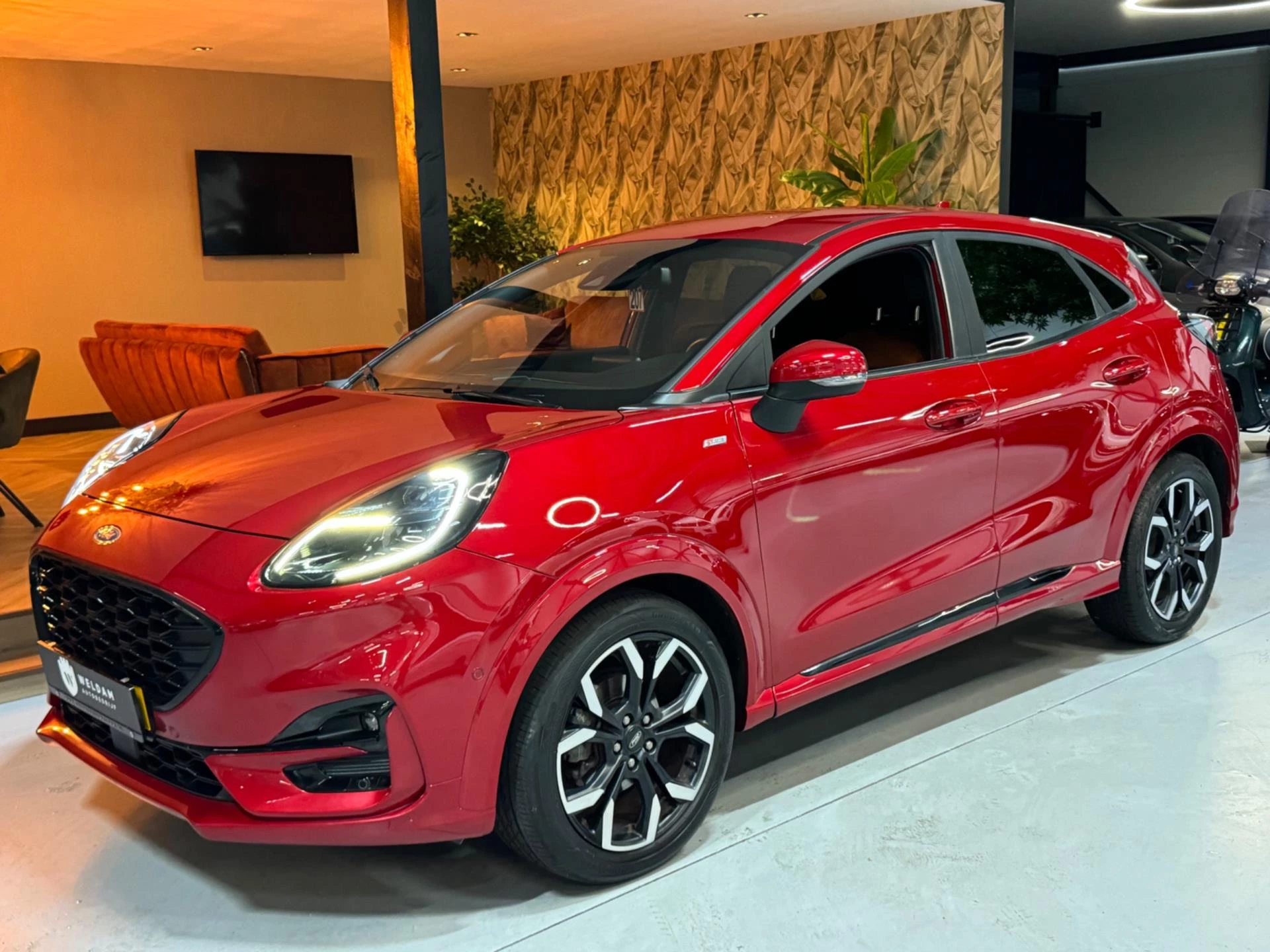 Hoofdafbeelding Ford Puma