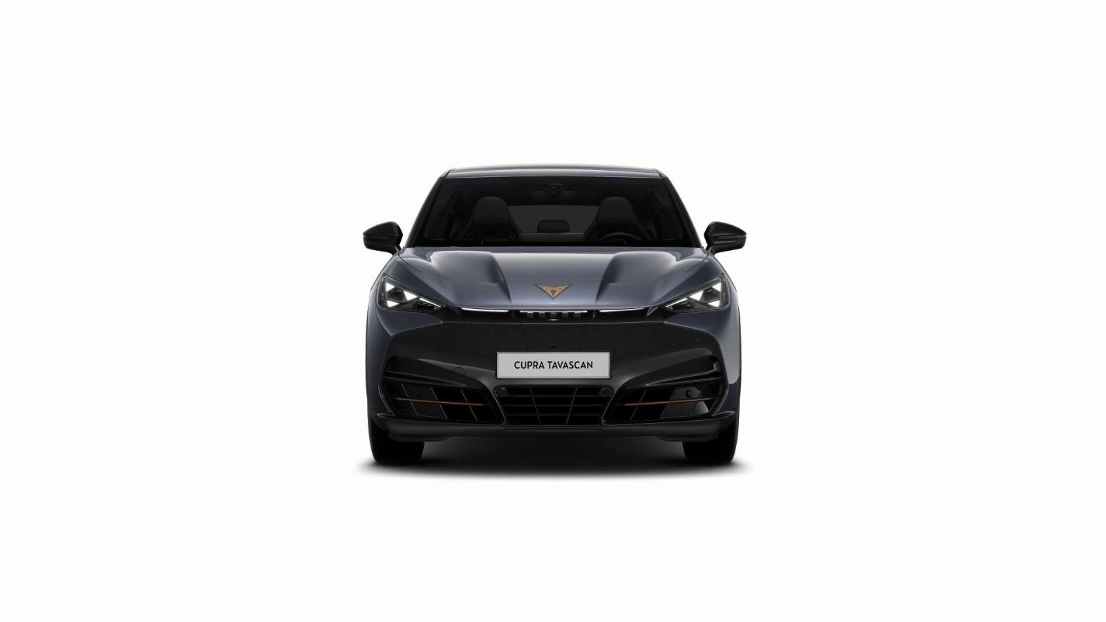 Hoofdafbeelding CUPRA Tavascan