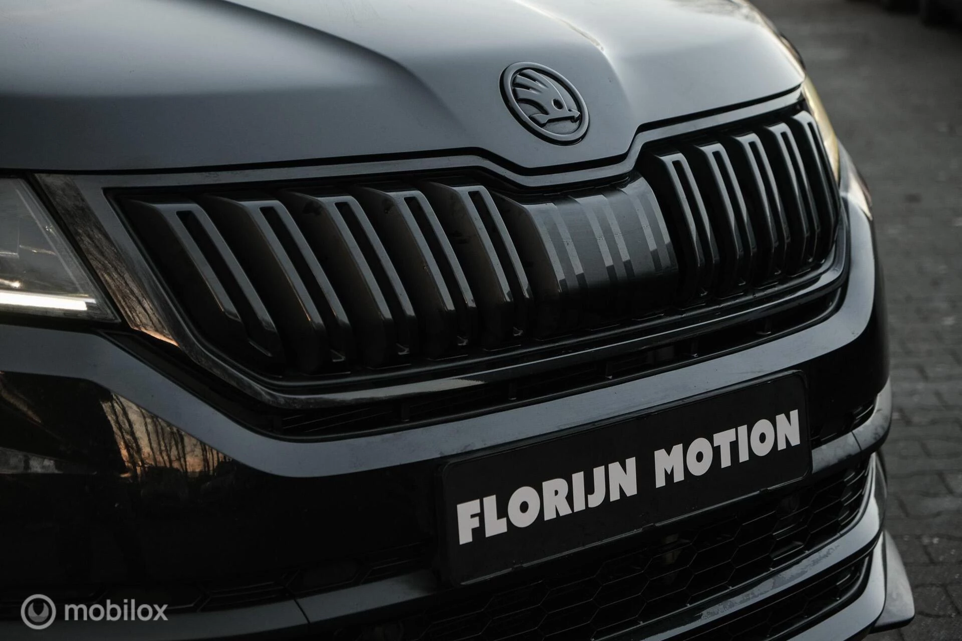 Hoofdafbeelding Škoda Kodiaq