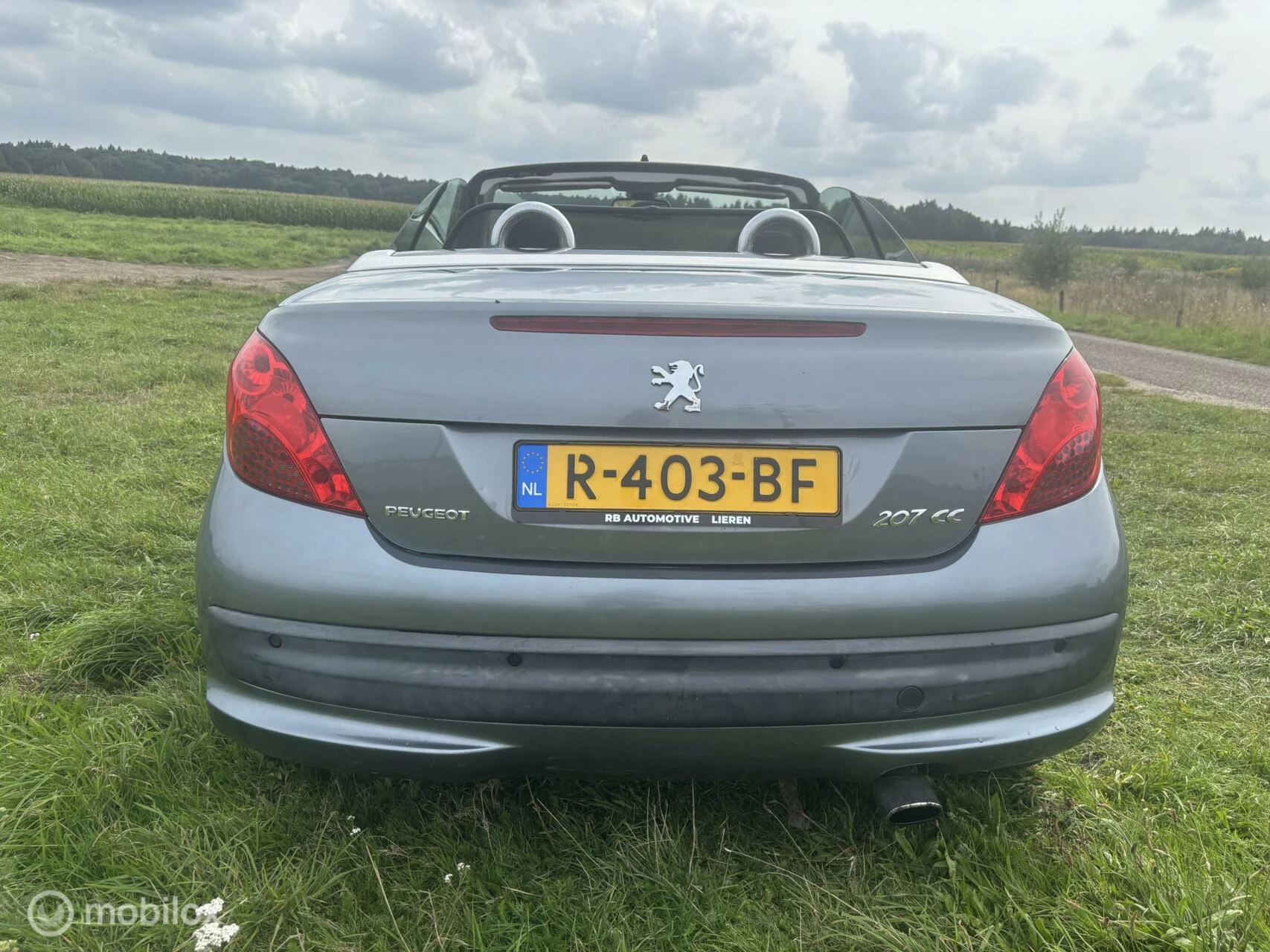Hoofdafbeelding Peugeot 207