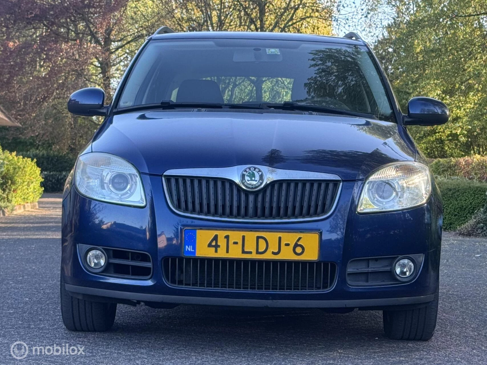 Hoofdafbeelding Škoda Fabia