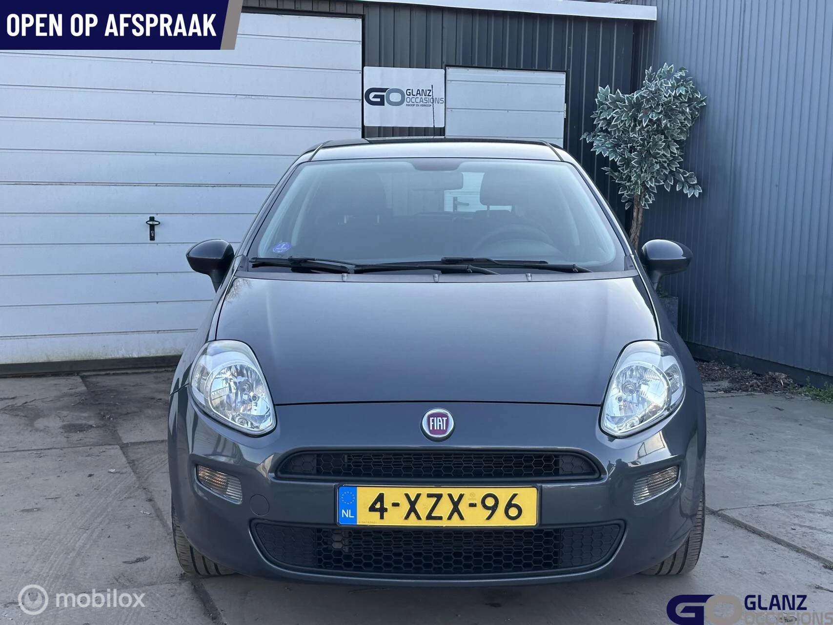 Hoofdafbeelding Fiat Punto