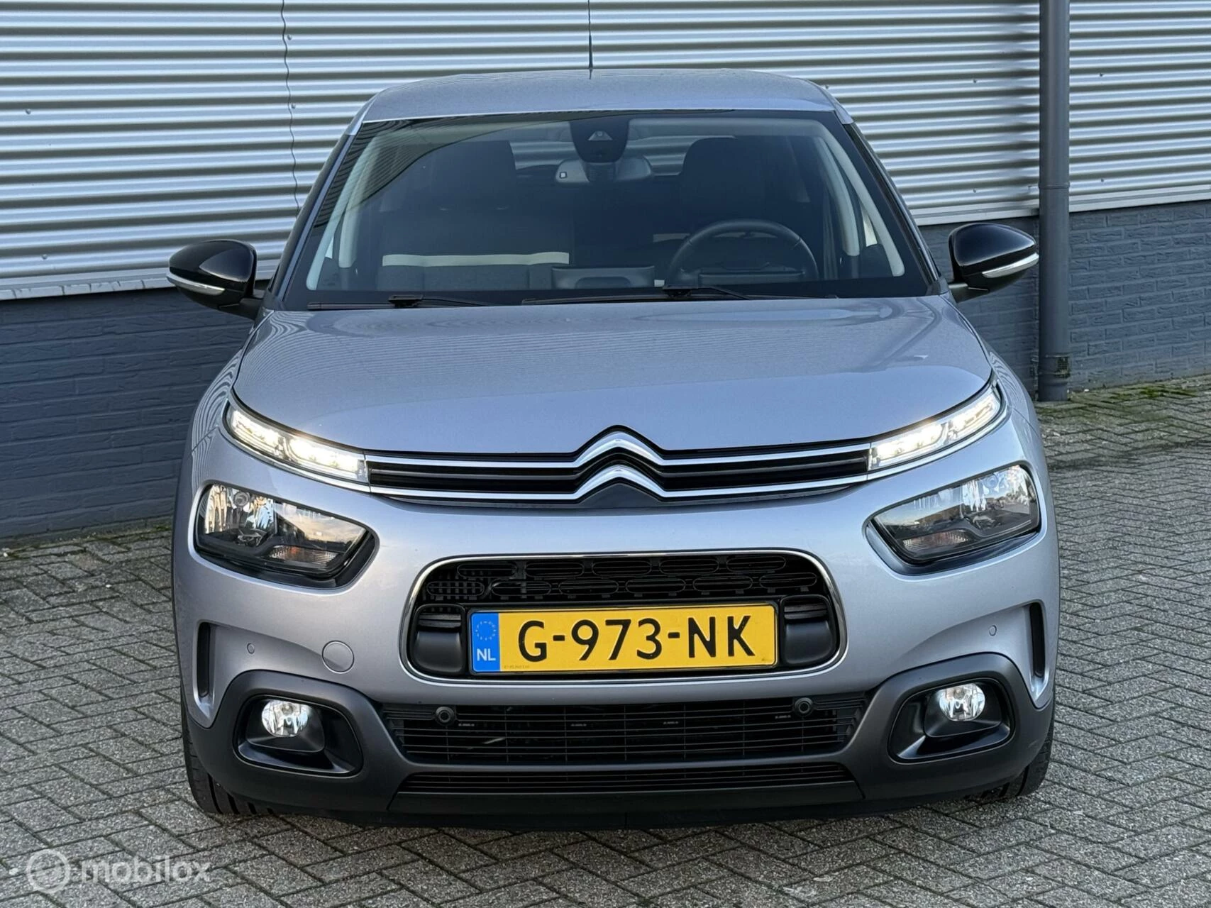 Hoofdafbeelding Citroën C4 Cactus