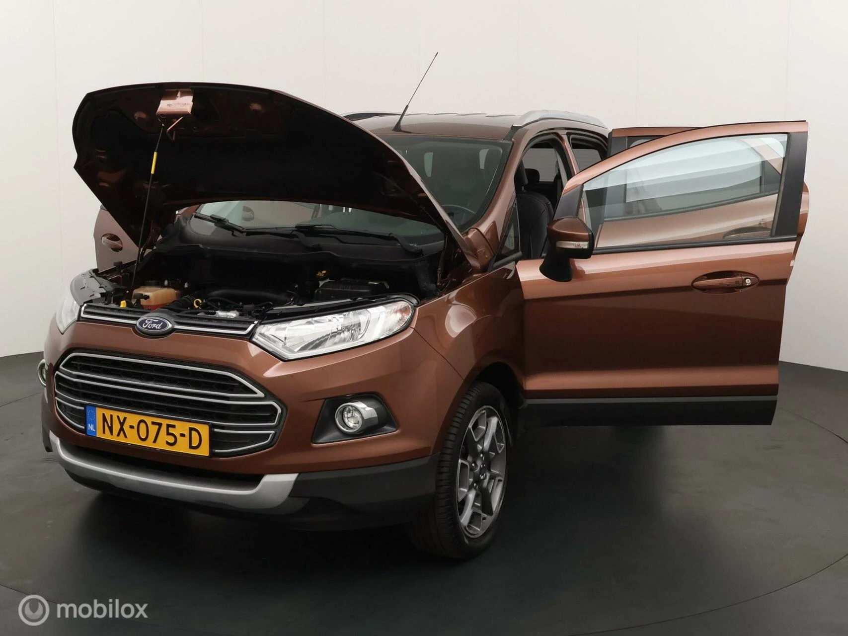 Hoofdafbeelding Ford EcoSport
