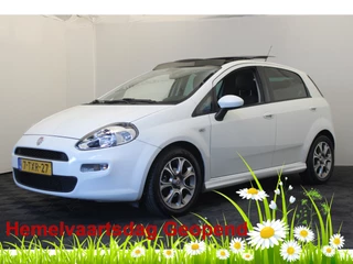 Fiat Punto Evo 0.9 TwinAir Street |Pano| *Hemelvaart open*