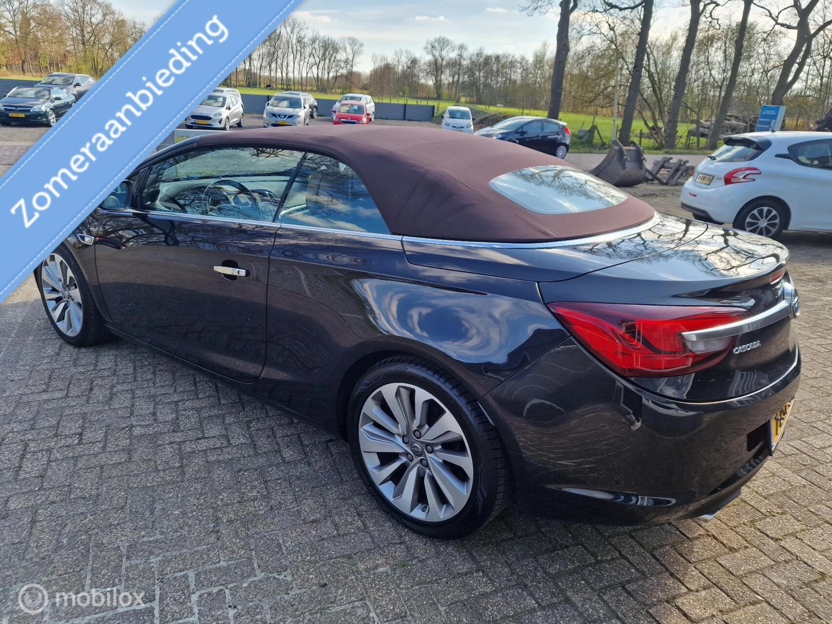 Hoofdafbeelding Opel Cascada
