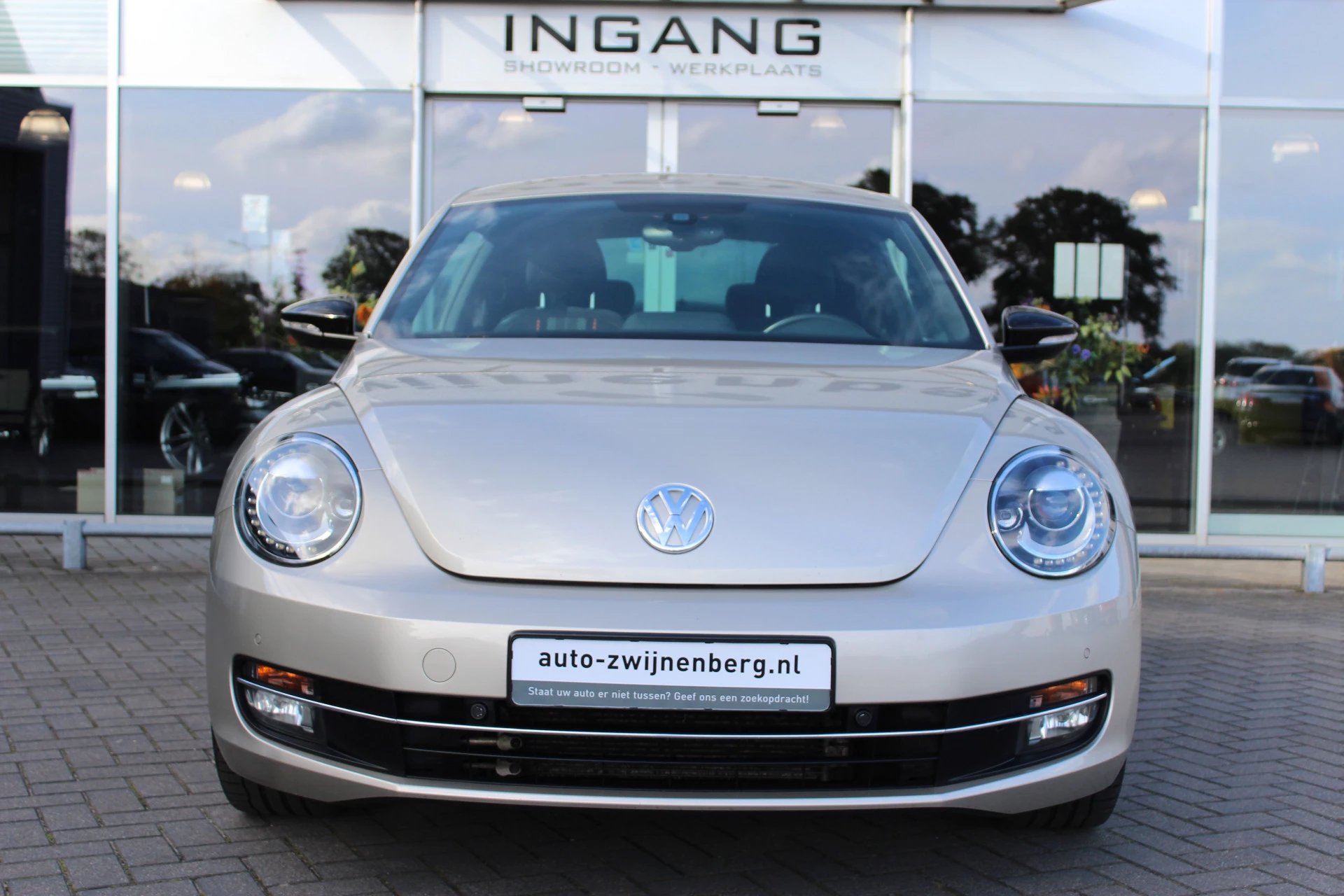 Hoofdafbeelding Volkswagen Beetle