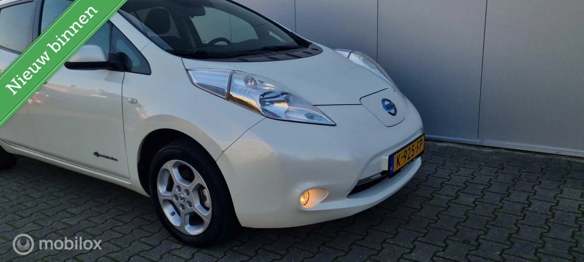 Hoofdafbeelding Nissan Leaf