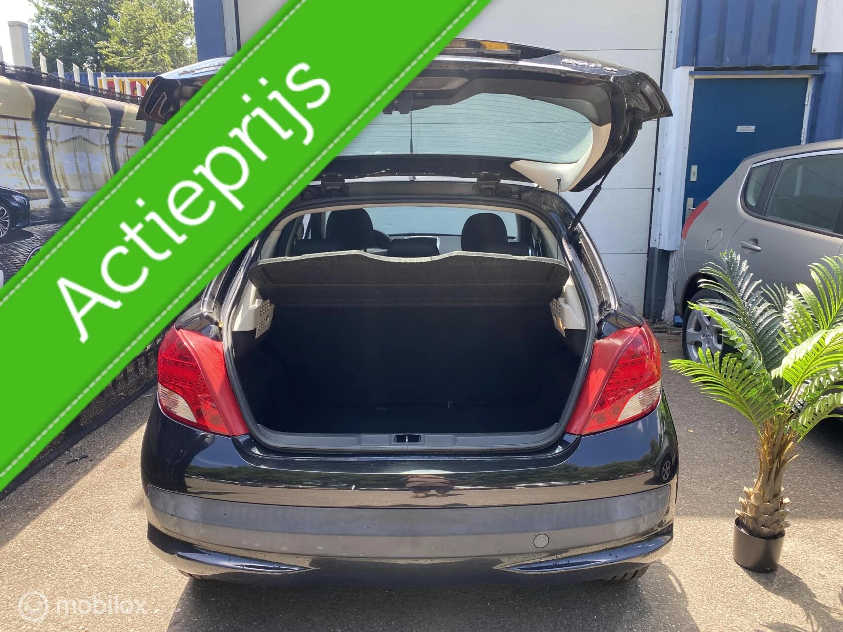 Hoofdafbeelding Peugeot 207