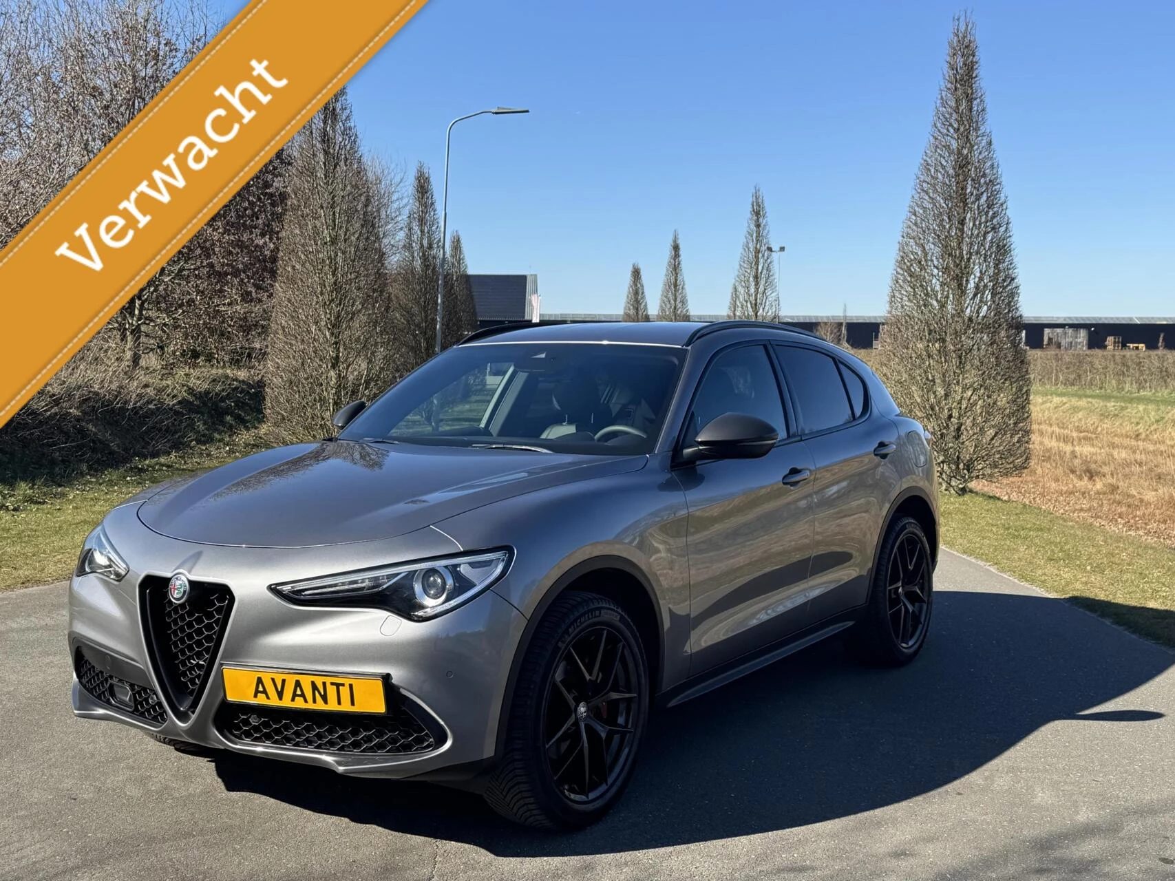 Hoofdafbeelding Alfa Romeo Stelvio