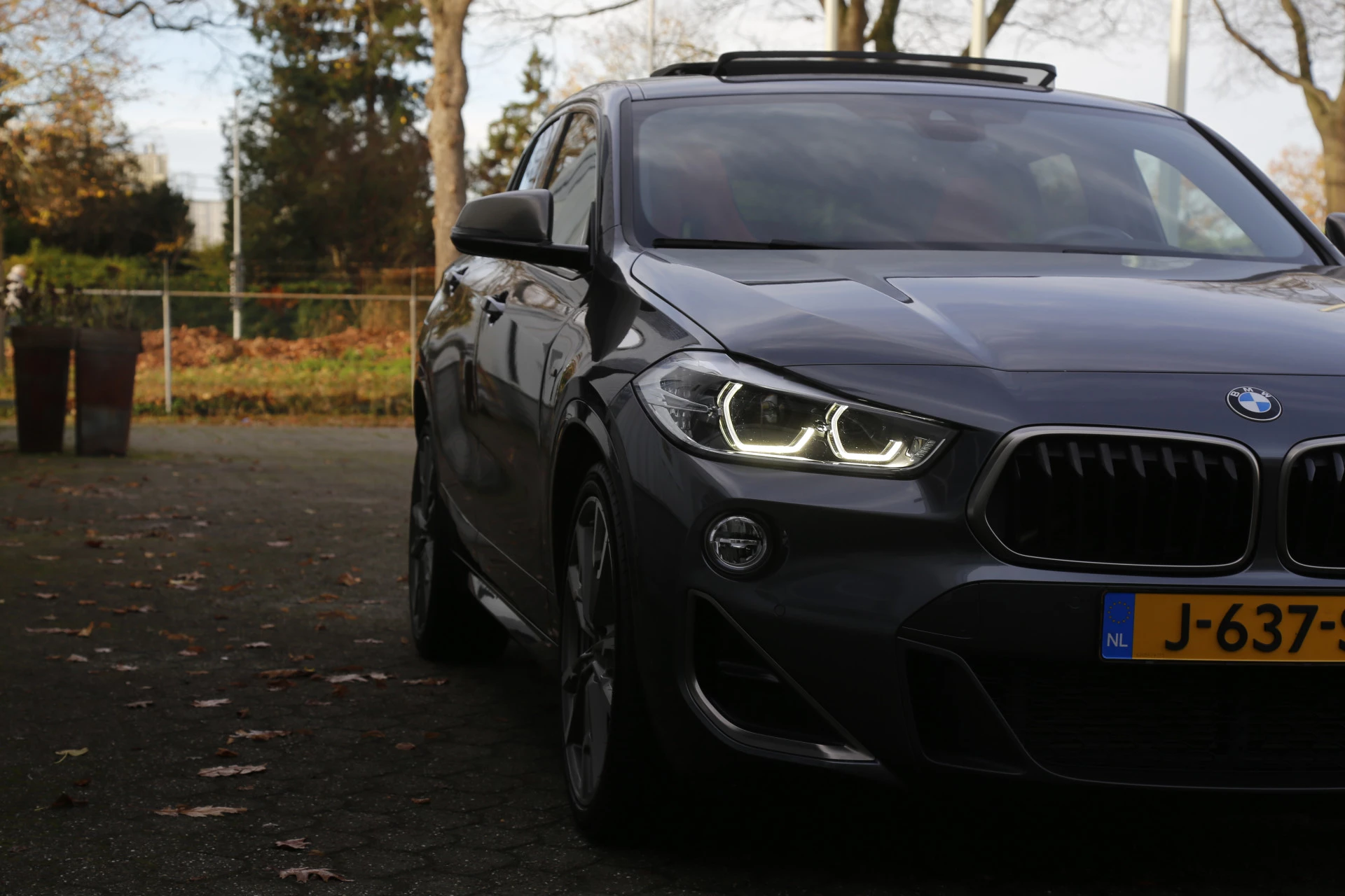 Hoofdafbeelding BMW X2