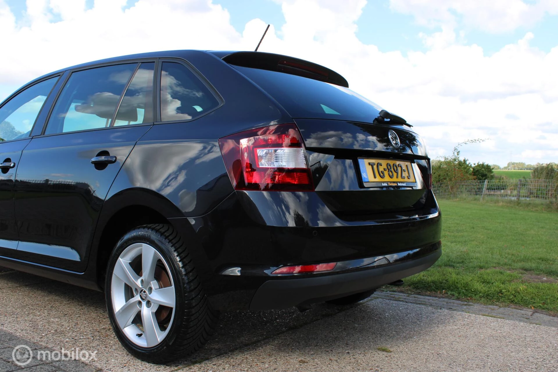 Hoofdafbeelding Škoda Rapid