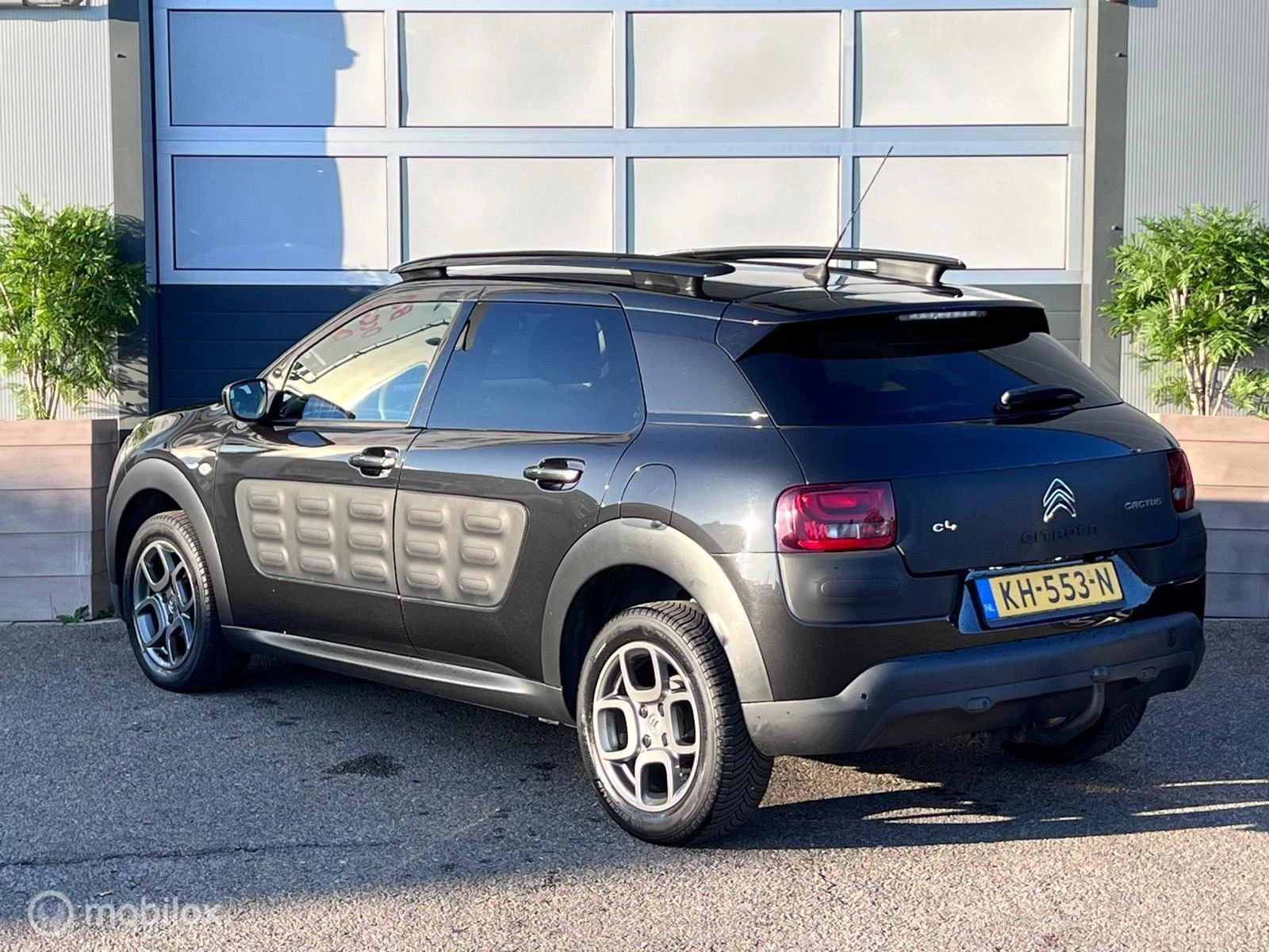 Hoofdafbeelding Citroën C4 Cactus