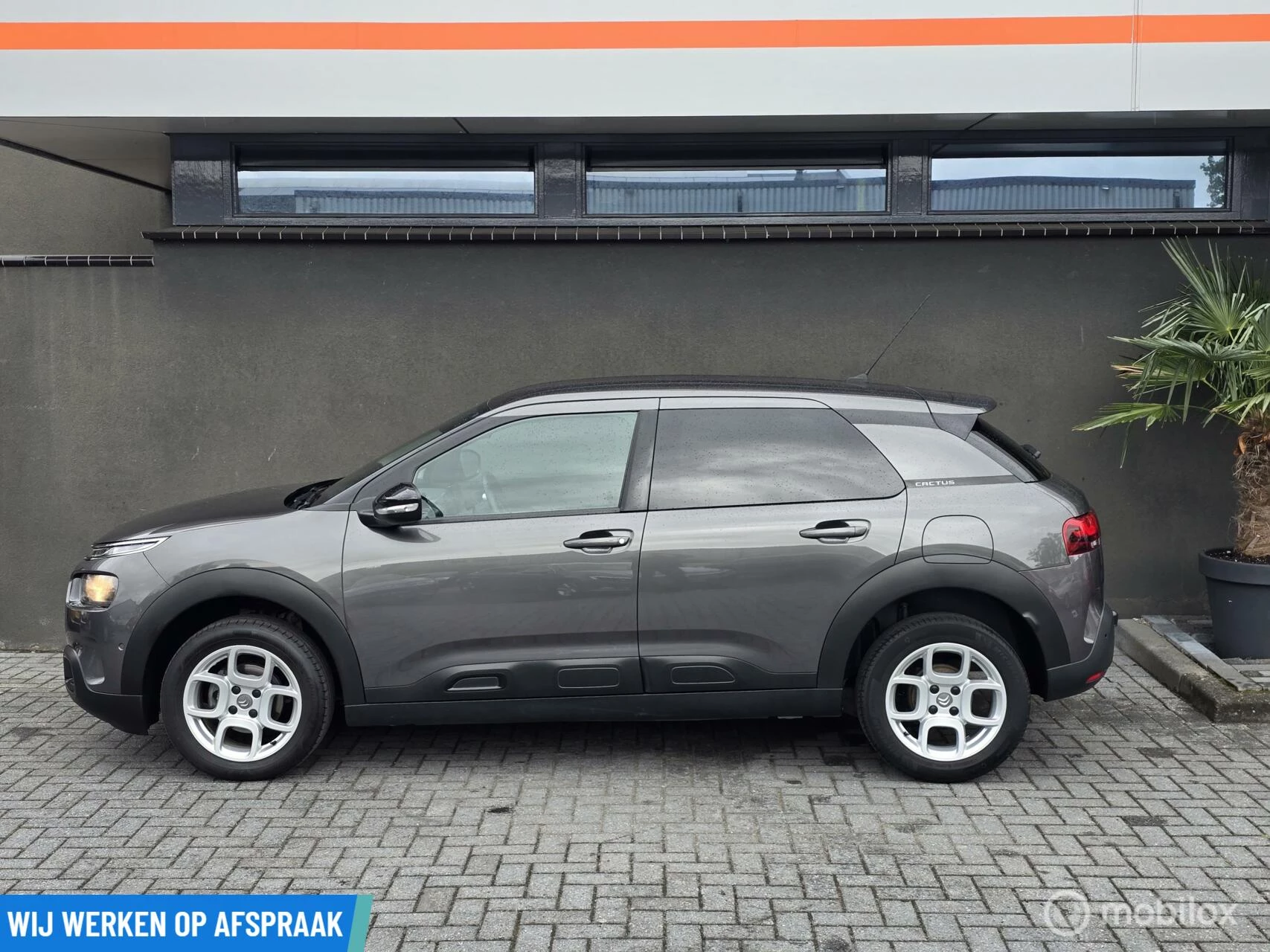 Hoofdafbeelding Citroën C4 Cactus