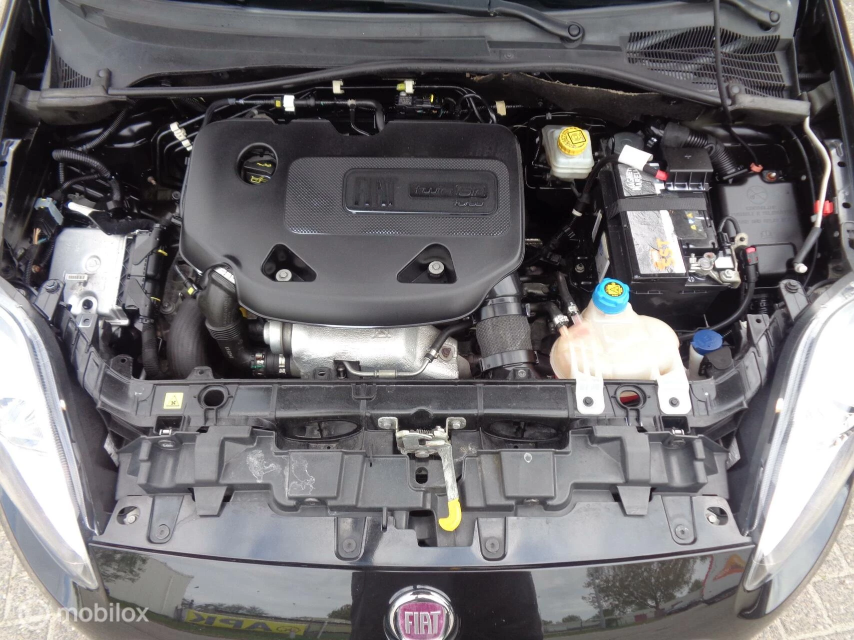 Hoofdafbeelding Fiat Punto