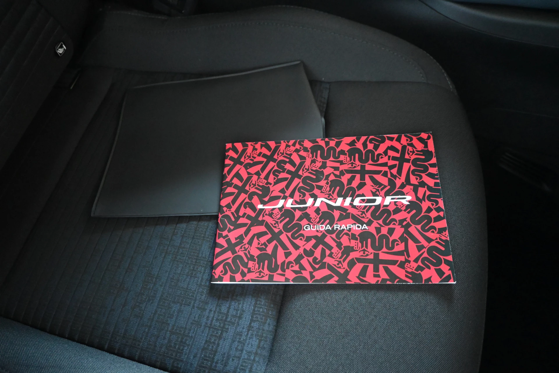 Hoofdafbeelding Alfa Romeo Junior