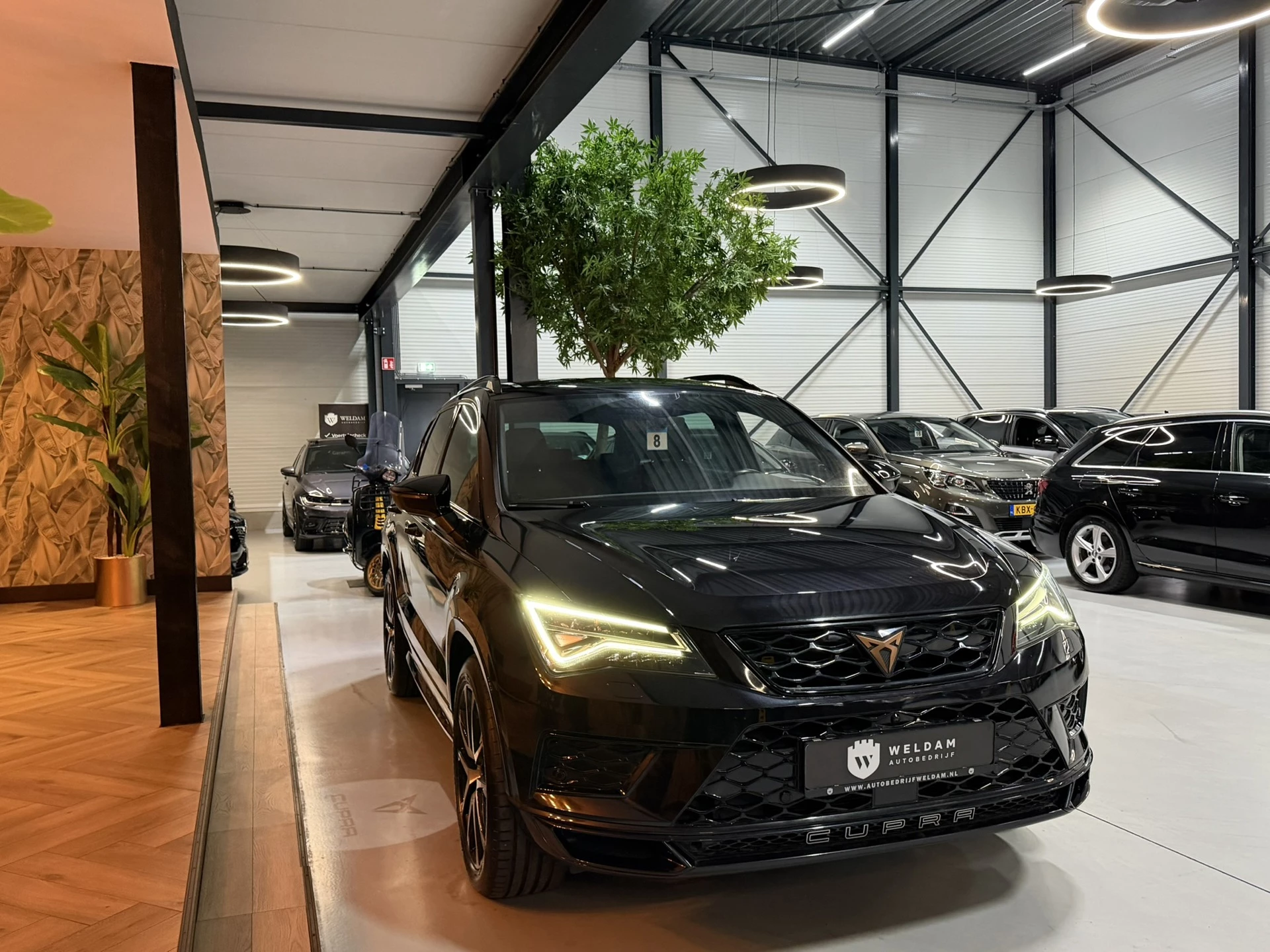 Hoofdafbeelding CUPRA Ateca