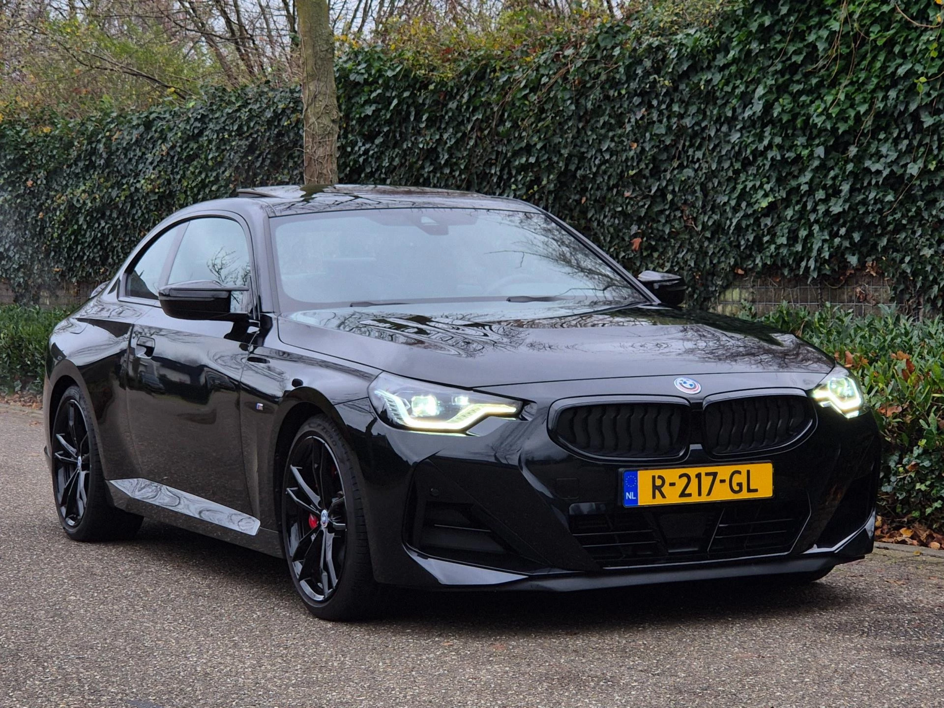 Hoofdafbeelding BMW 2 Serie