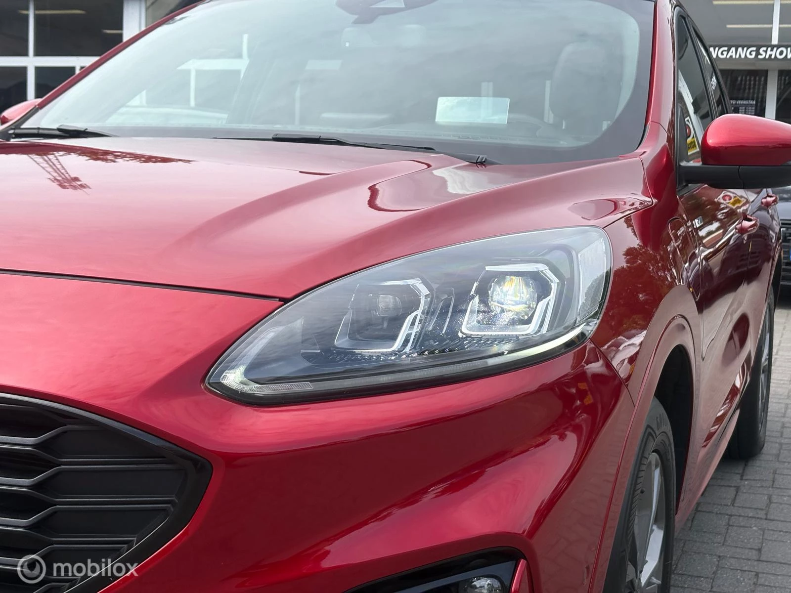 Hoofdafbeelding Ford Kuga