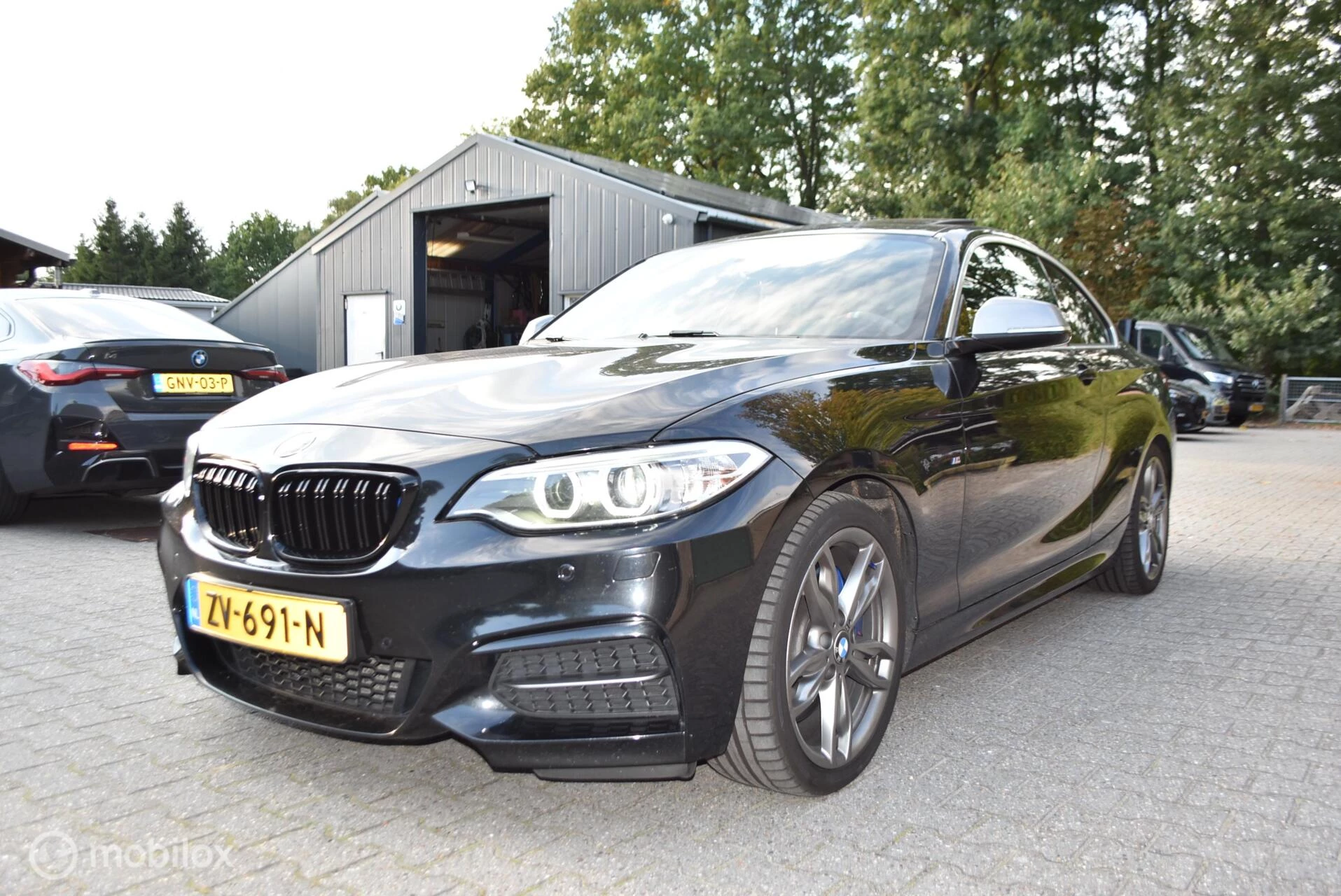 Hoofdafbeelding BMW 2 Serie