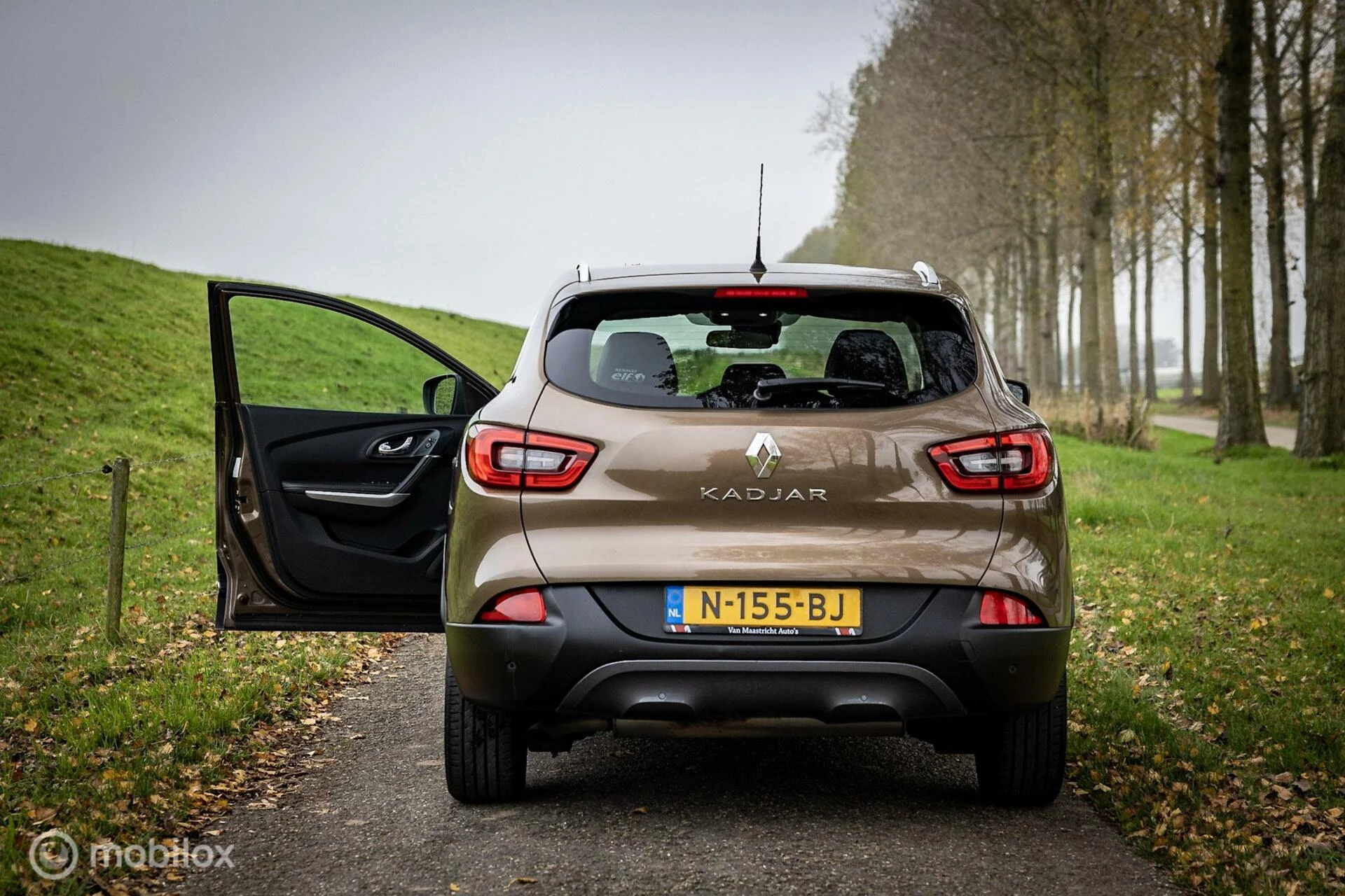 Hoofdafbeelding Renault Kadjar