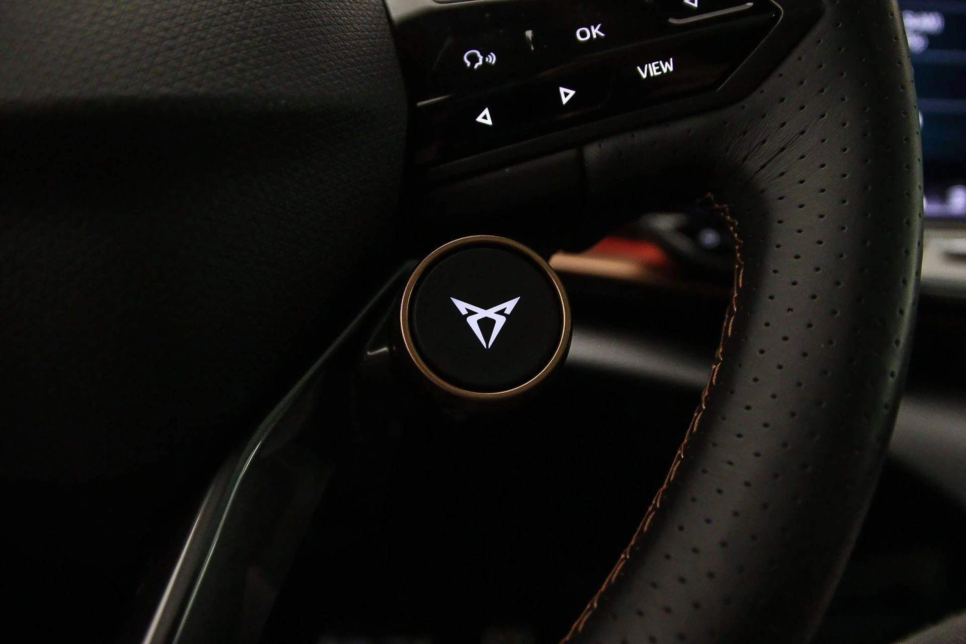 Hoofdafbeelding CUPRA Tavascan