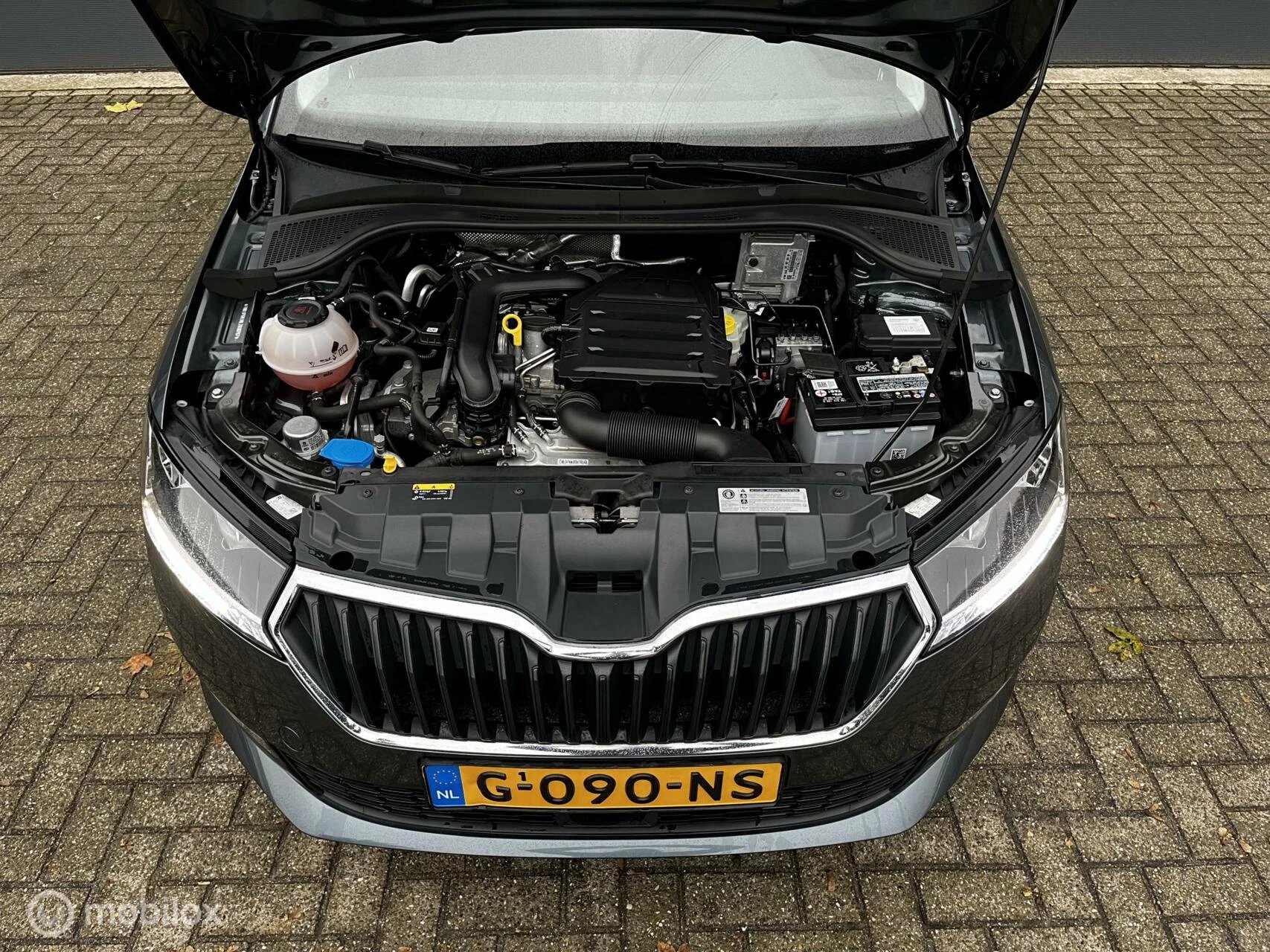 Hoofdafbeelding Škoda Fabia