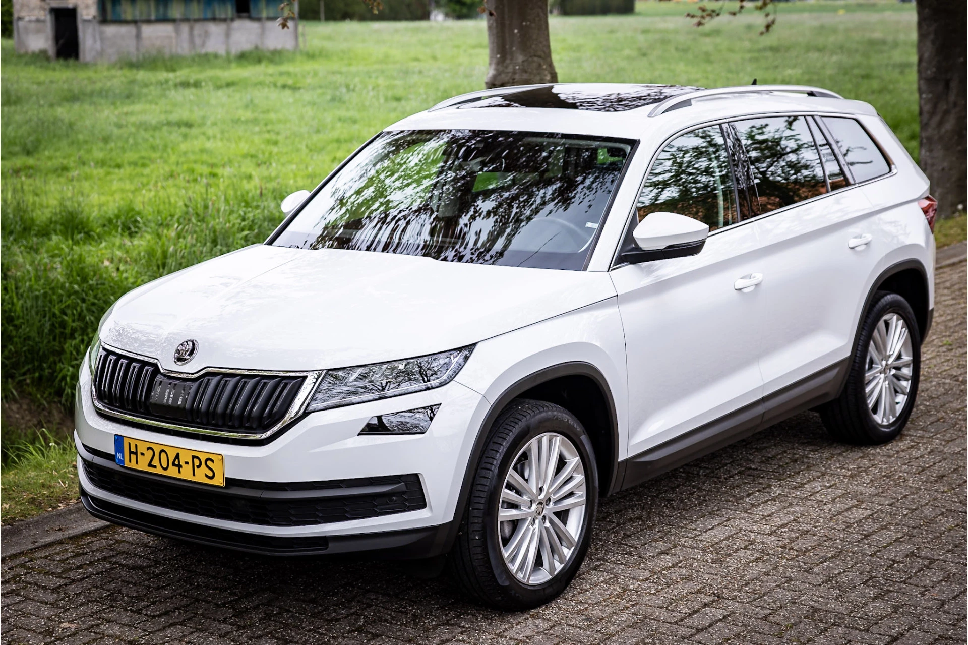 Hoofdafbeelding Škoda Kodiaq