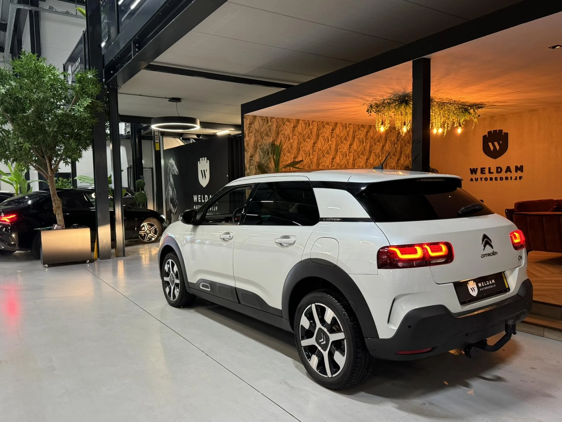 Hoofdafbeelding Citroën C4 Cactus