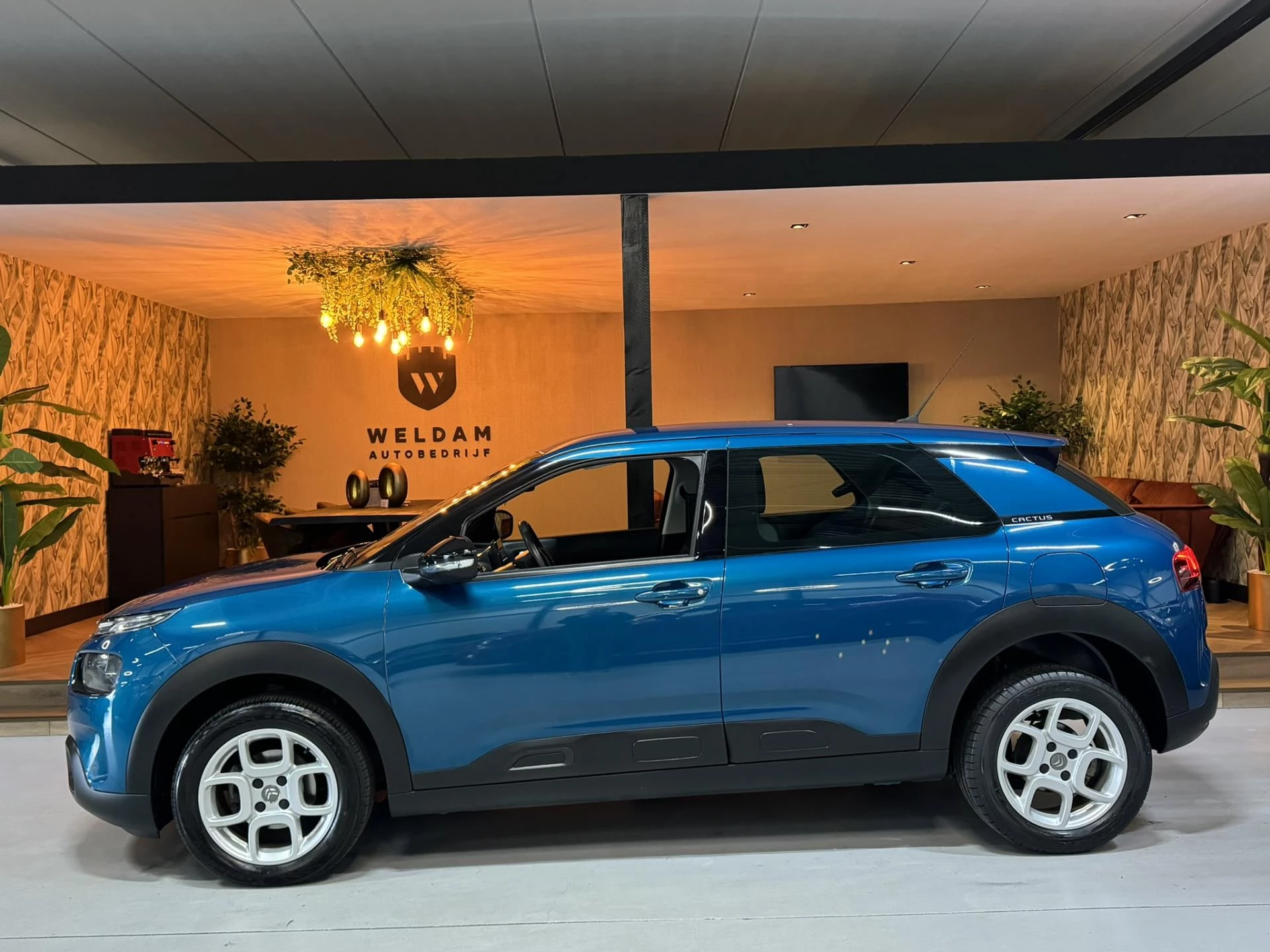 Hoofdafbeelding Citroën C4 Cactus