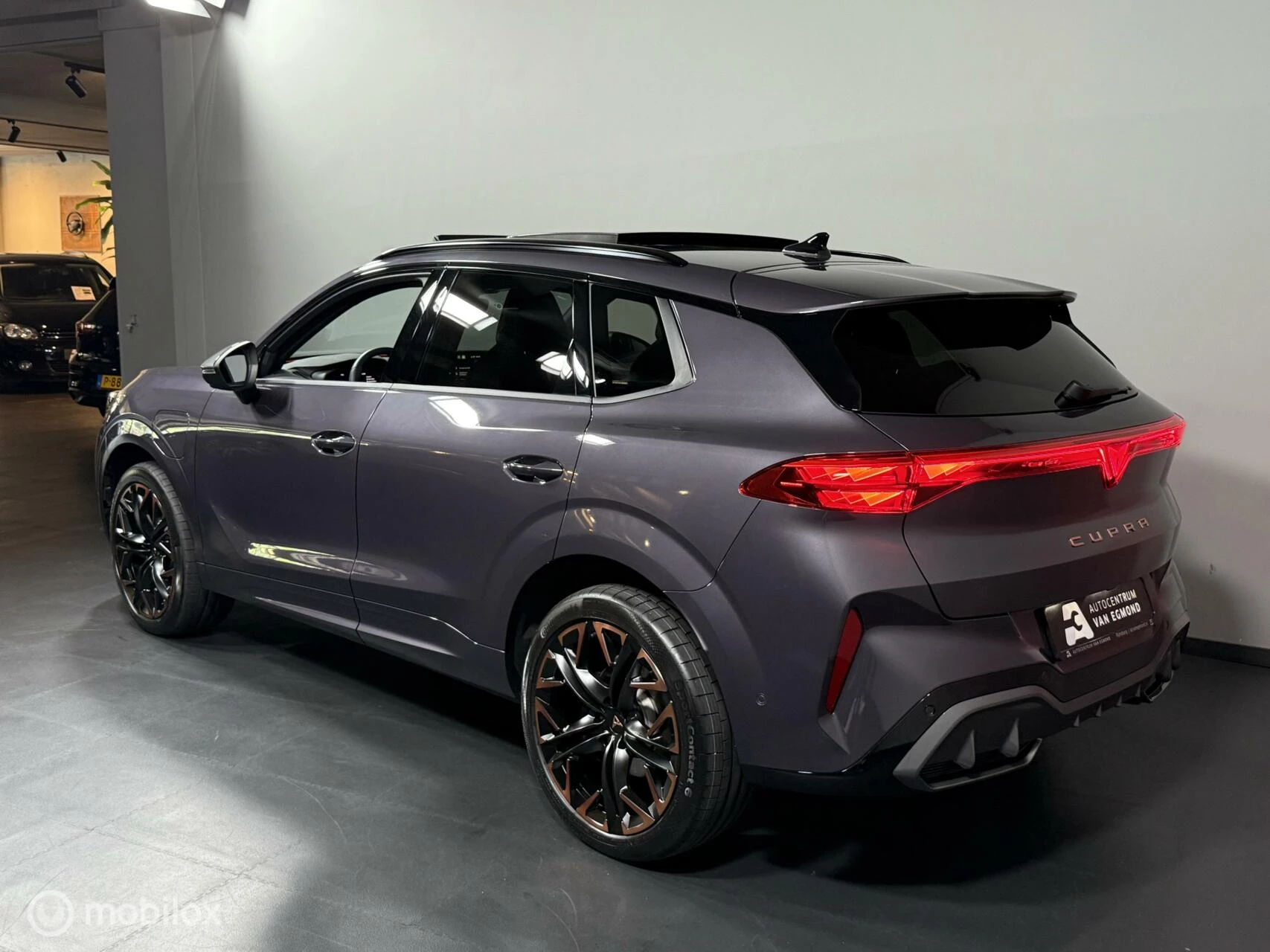 Hoofdafbeelding CUPRA Terramar