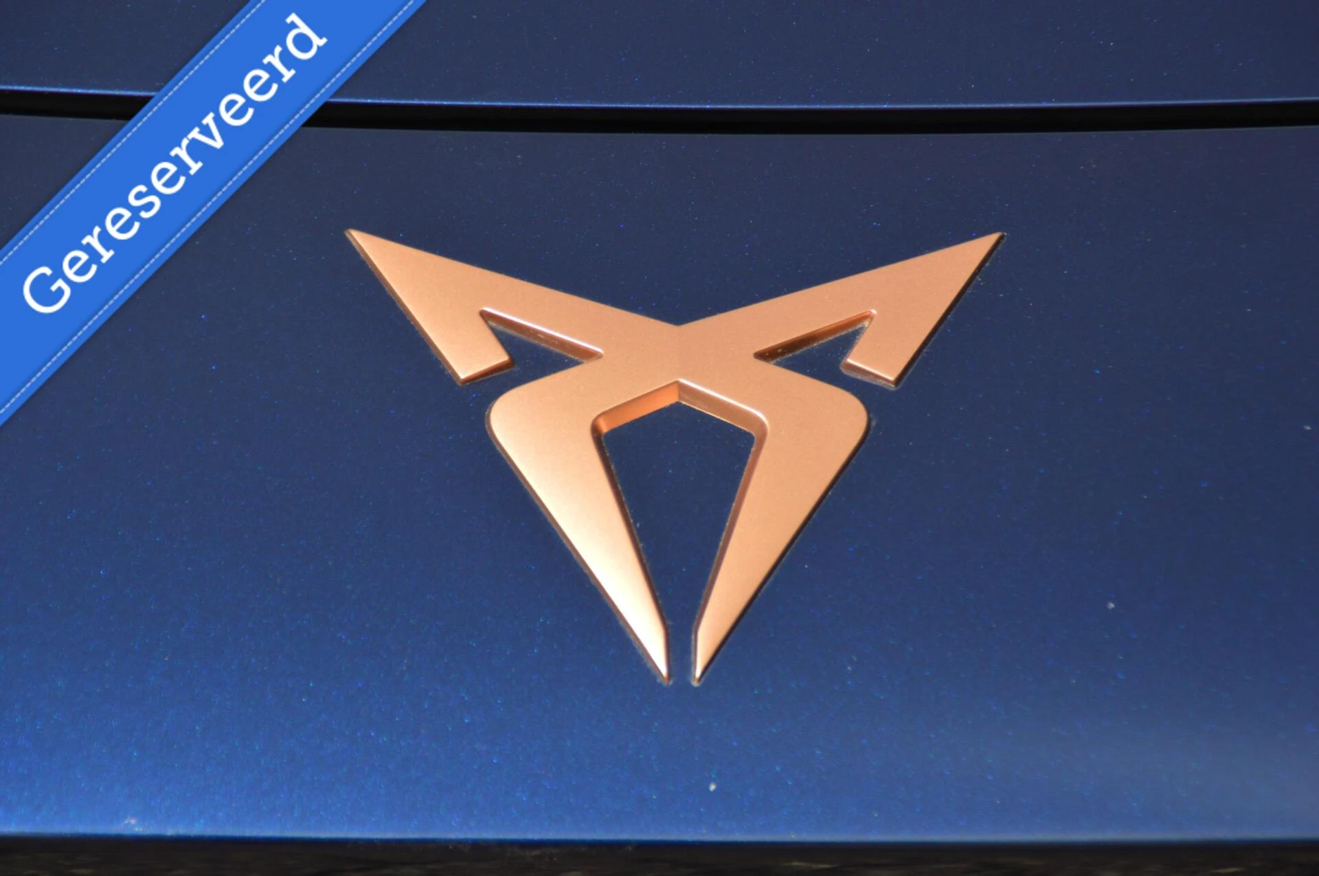 Hoofdafbeelding CUPRA Terramar