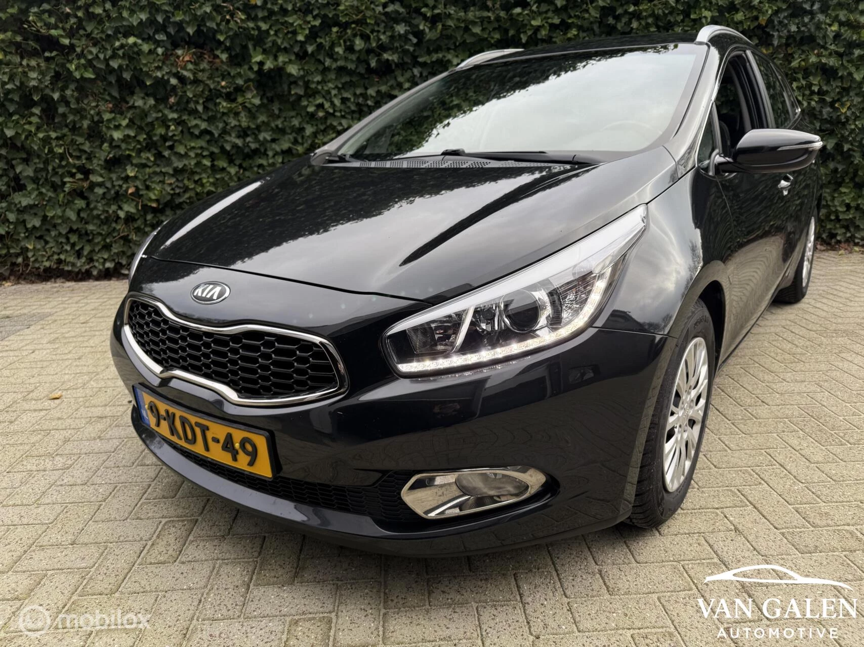 Hoofdafbeelding Kia cee'd