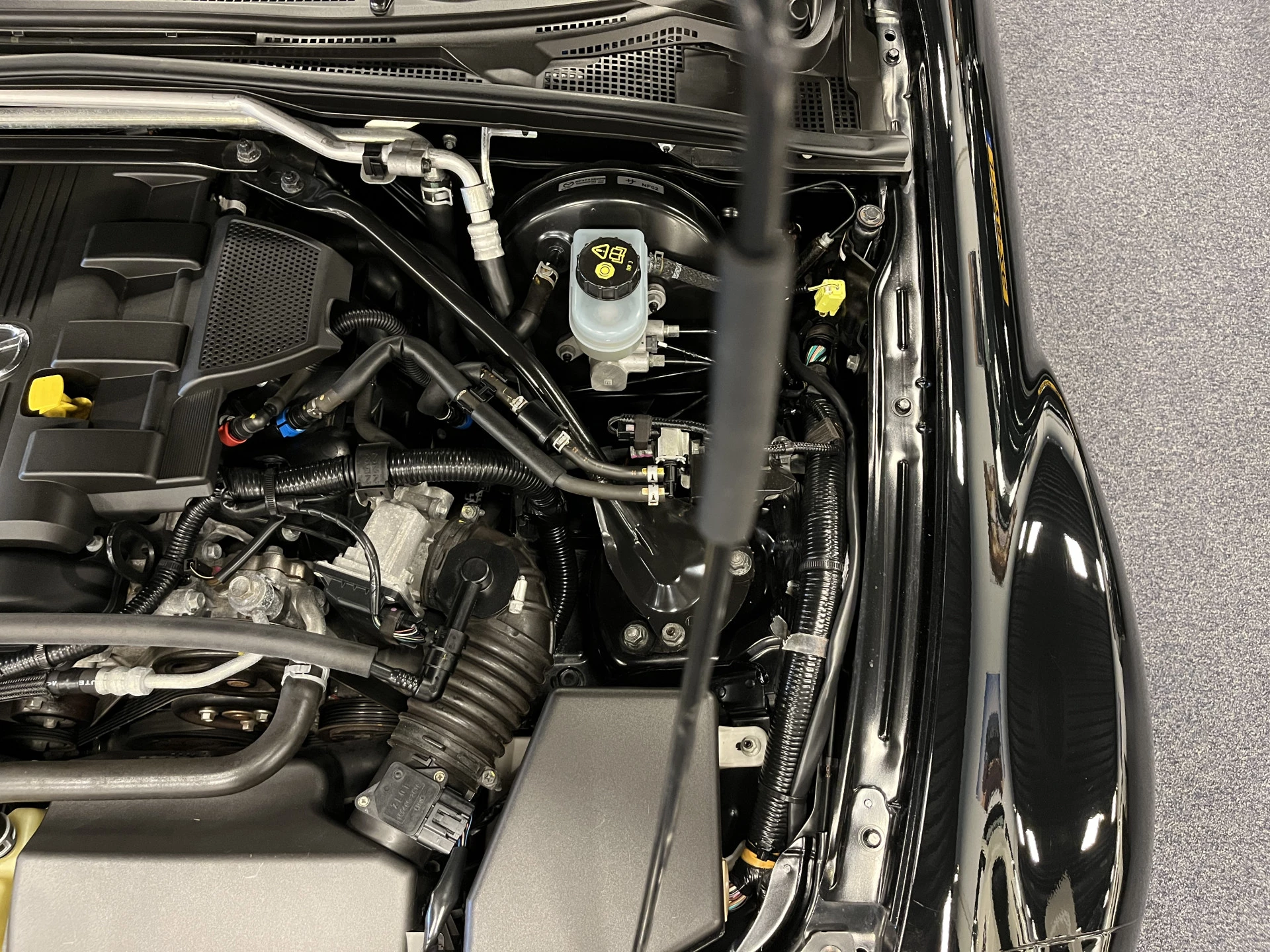 Hoofdafbeelding Mazda MX-5