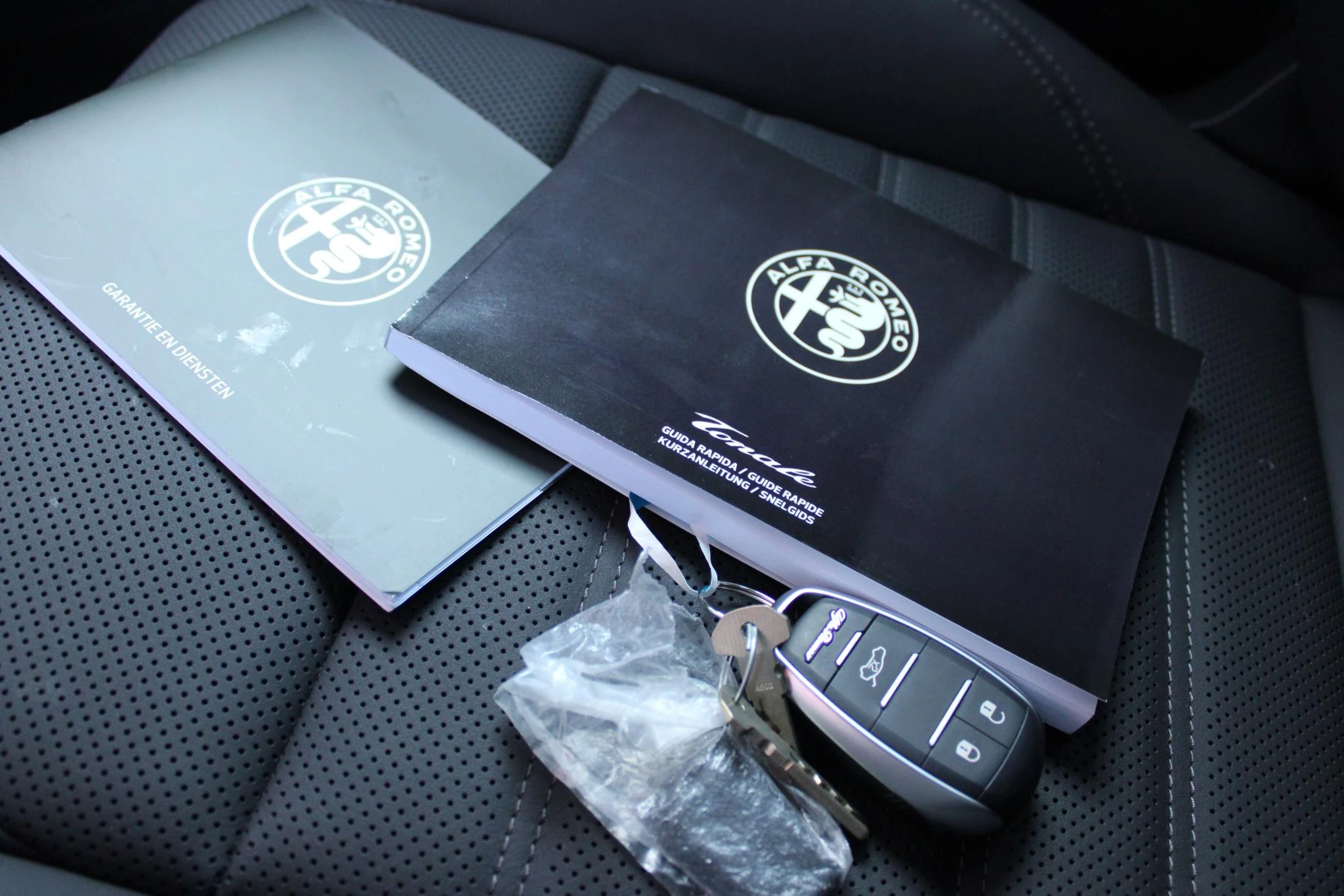 Hoofdafbeelding Alfa Romeo Tonale