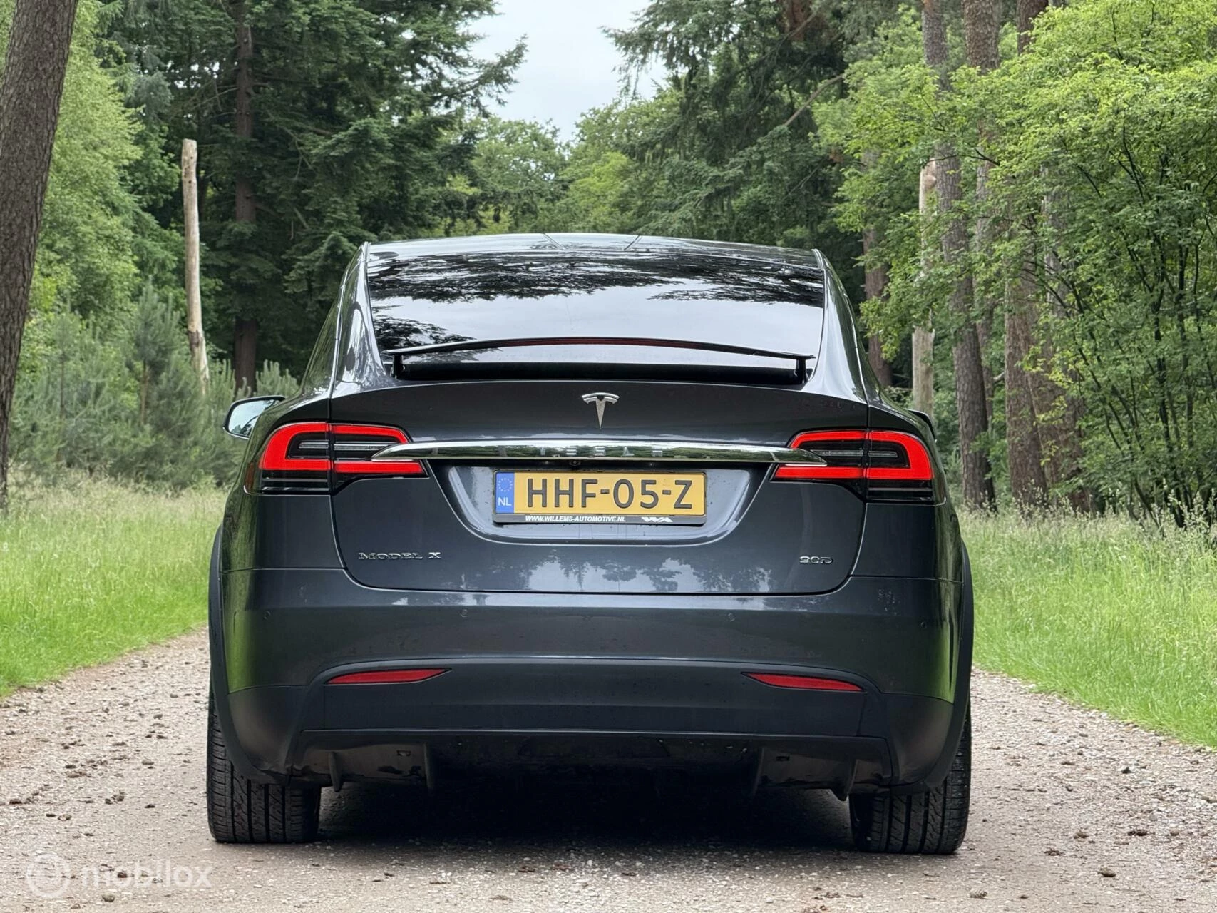 Hoofdafbeelding Tesla Model X