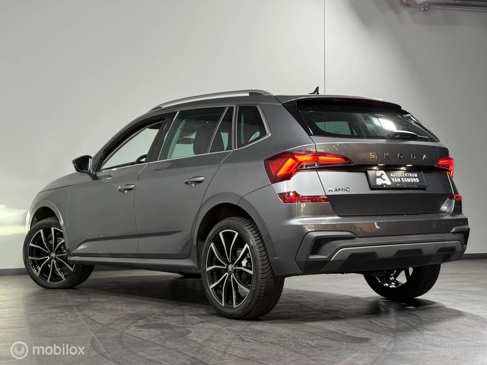 Hoofdafbeelding Škoda Kamiq