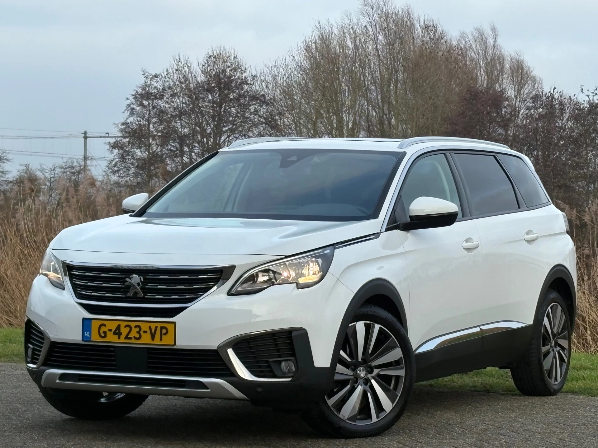 Hoofdafbeelding Peugeot 5008