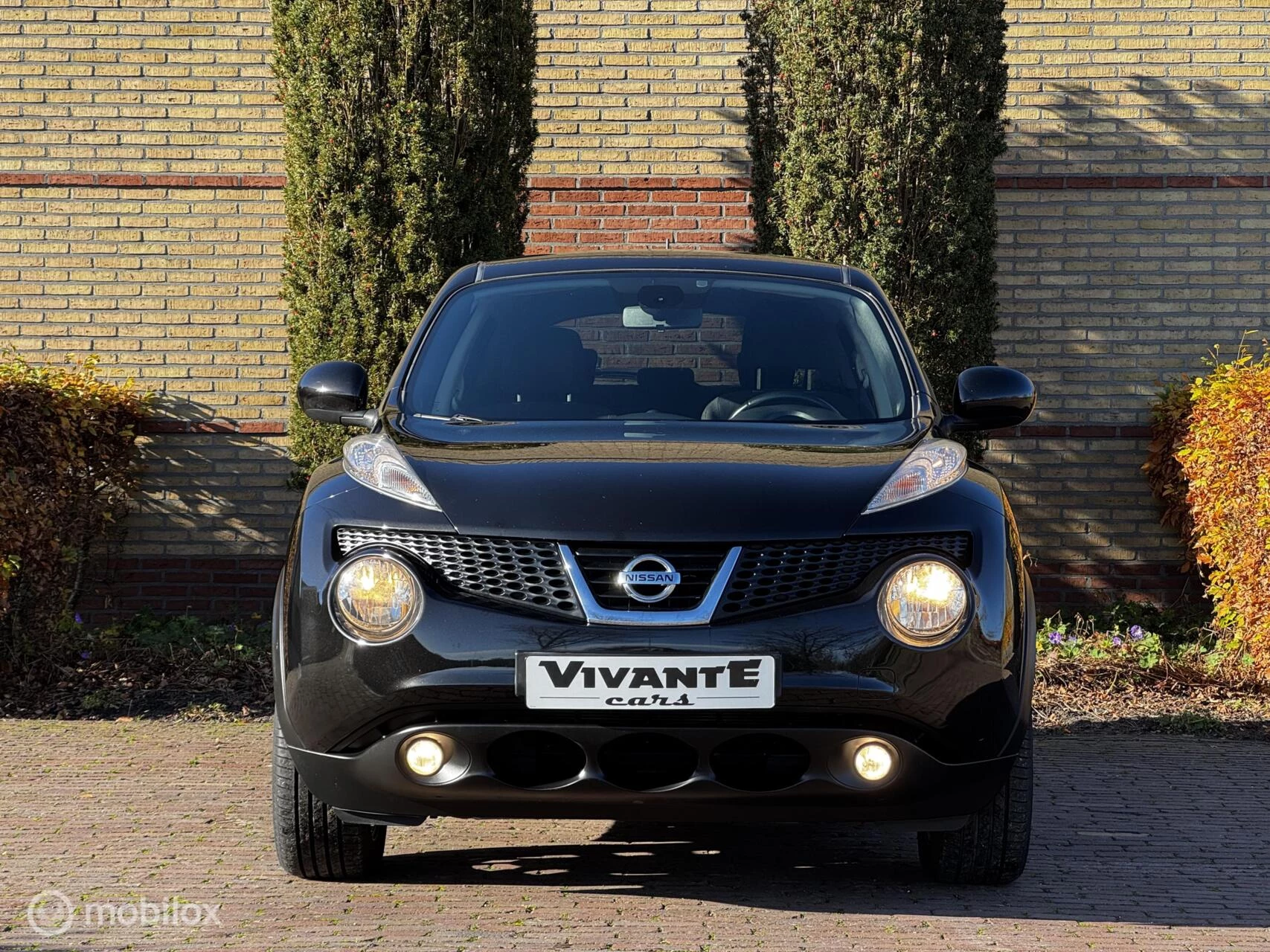 Hoofdafbeelding Nissan Juke