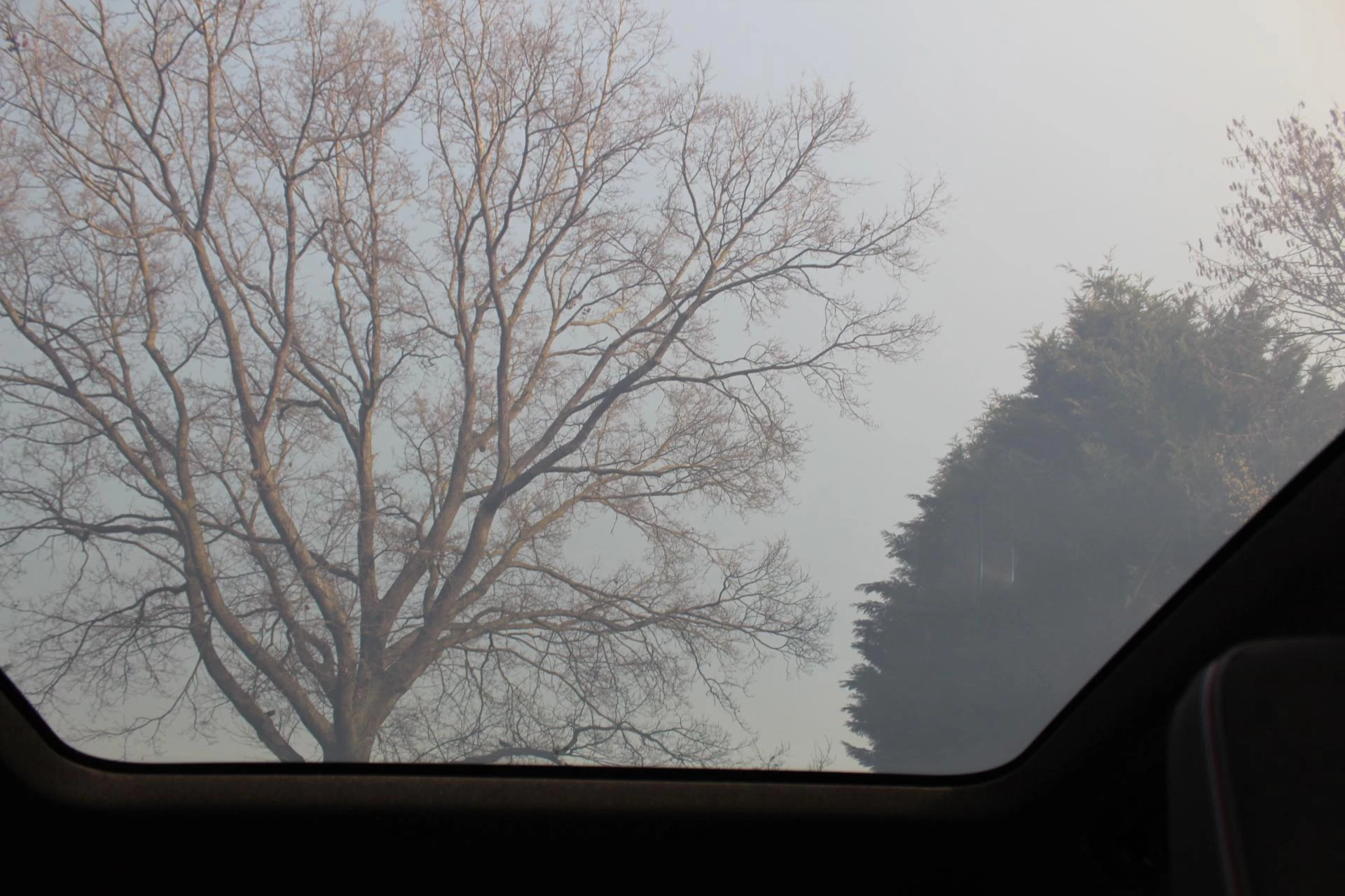 Hoofdafbeelding Renault Rafale