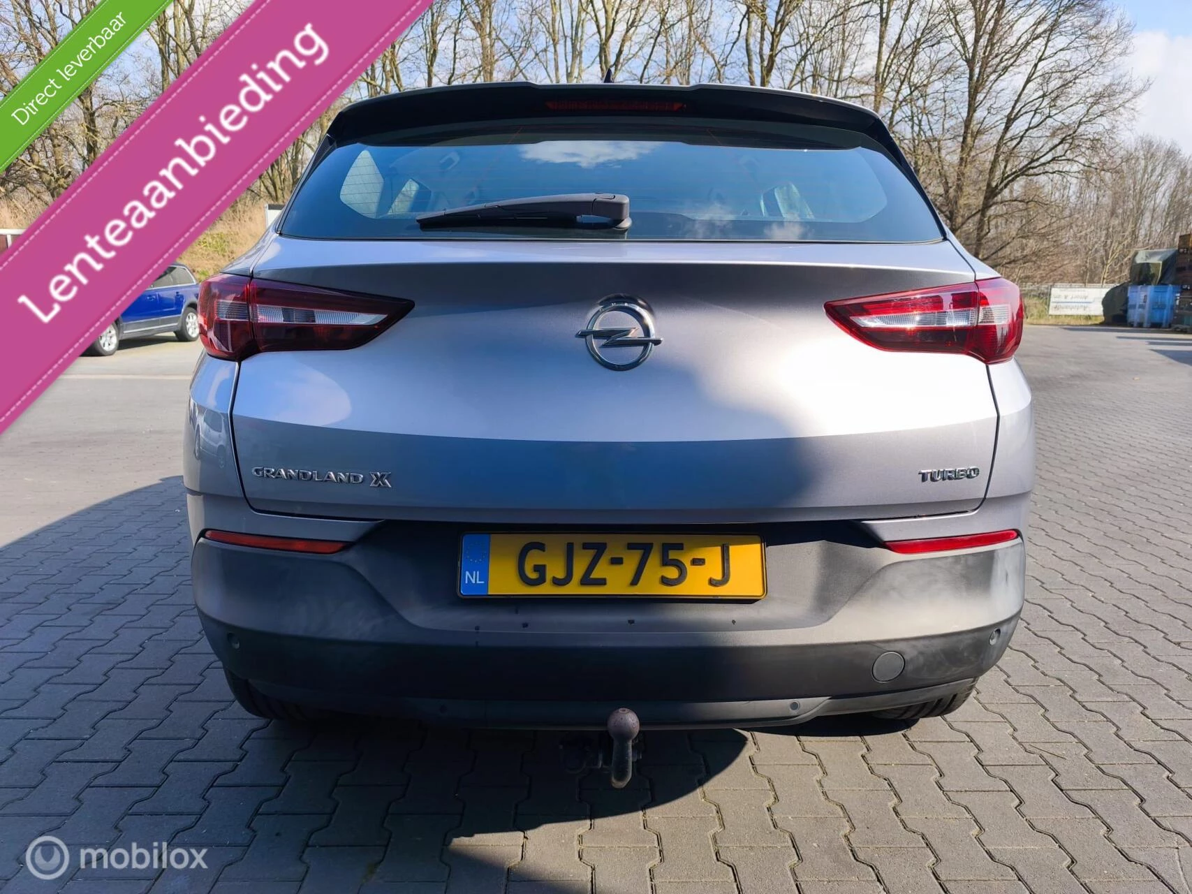 Hoofdafbeelding Opel Grandland X