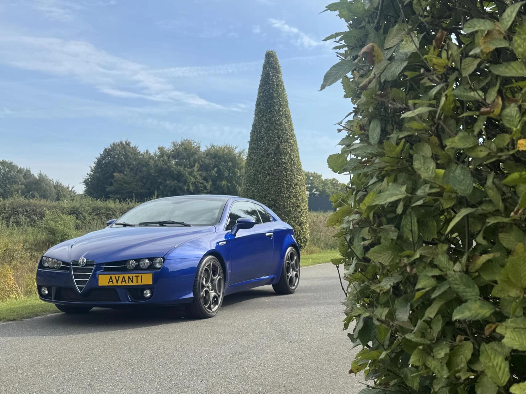 Hoofdafbeelding Alfa Romeo Brera